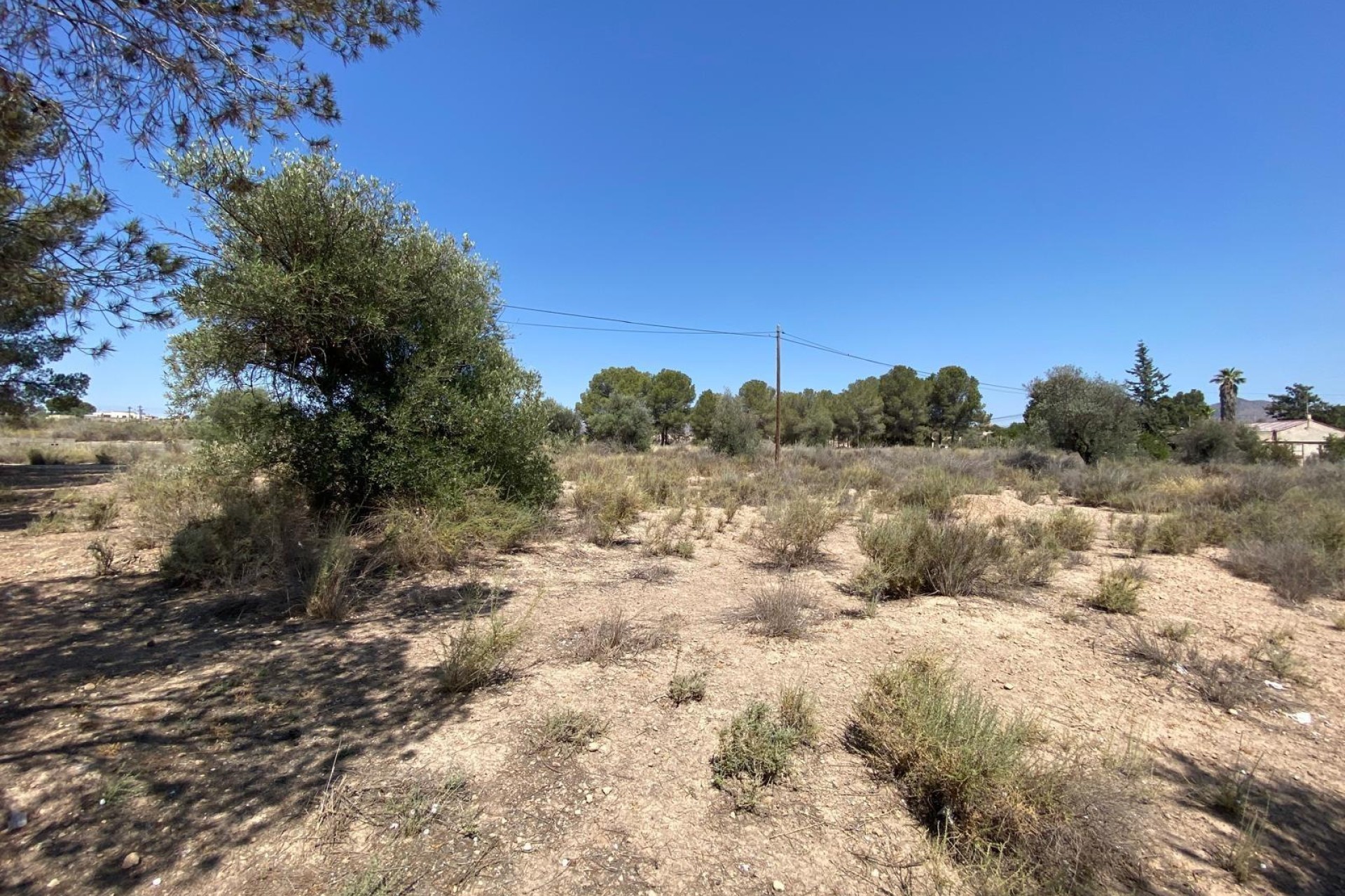 Resale - Casa de campo - Elda - Las Trescientas - San Francisco