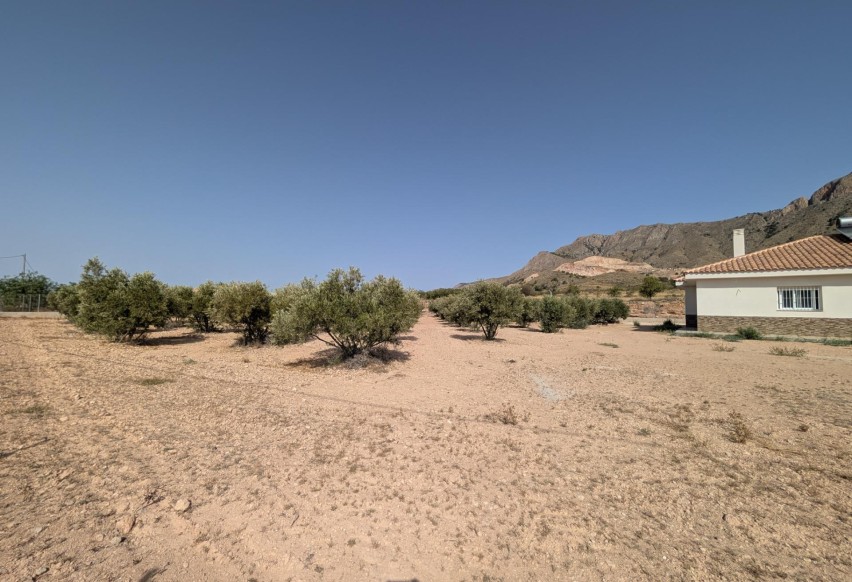 Resale - Chalet - Abanilla - MACISVENDA