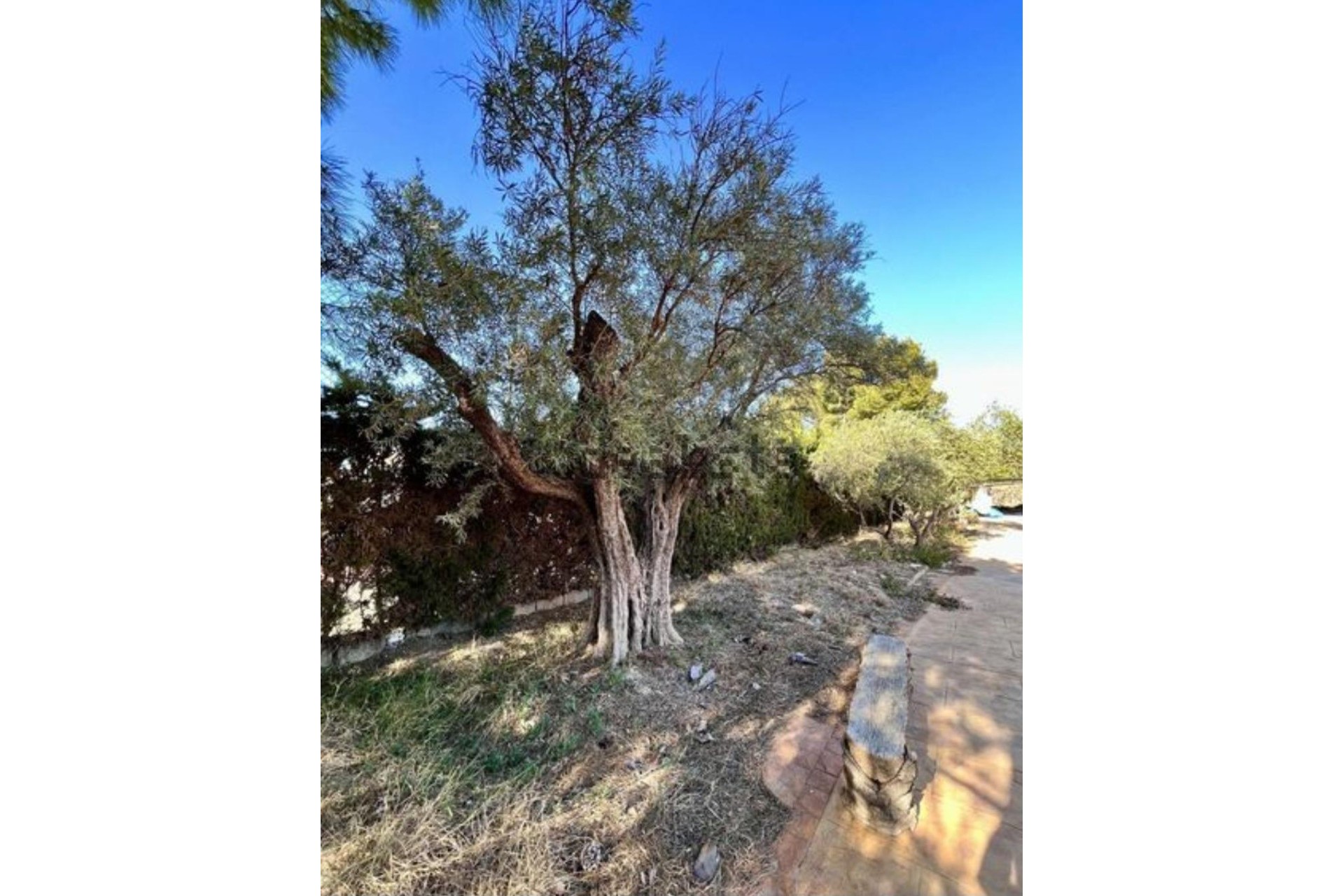 Resale - Chalet - Torrellano