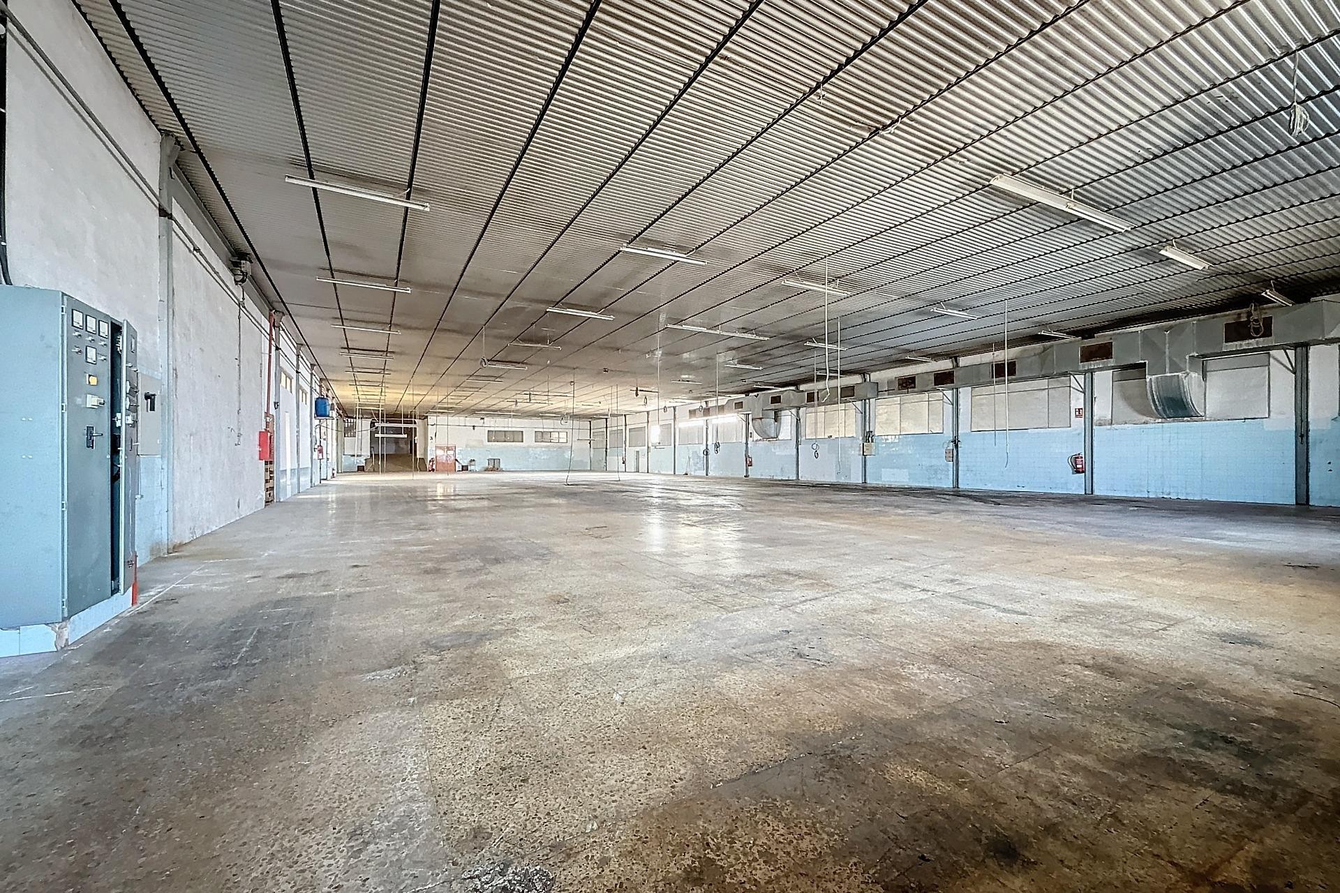 Resale - Commercial - Biar - Comunidad valenciana