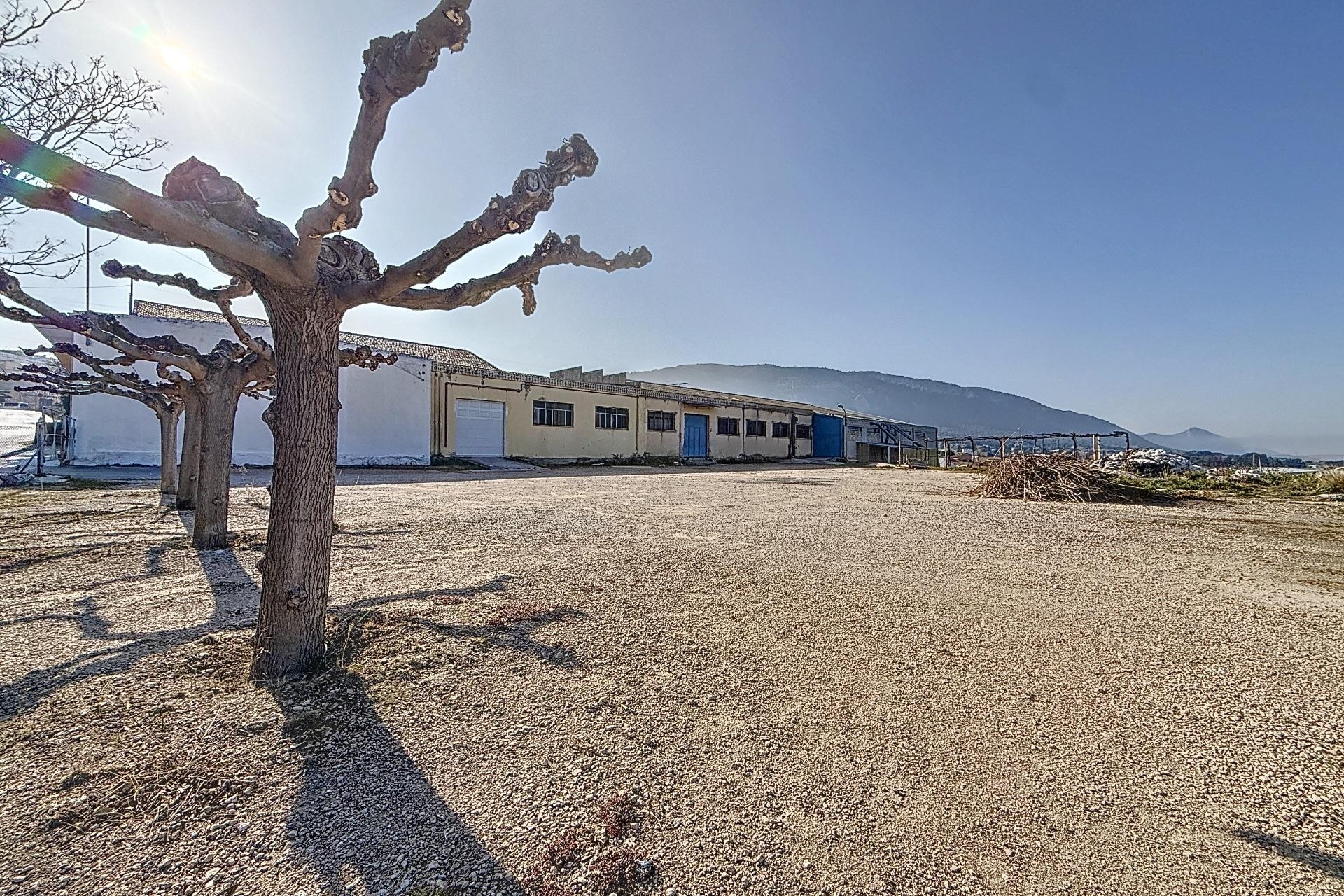 Resale - Commercial - Biar - Comunidad valenciana