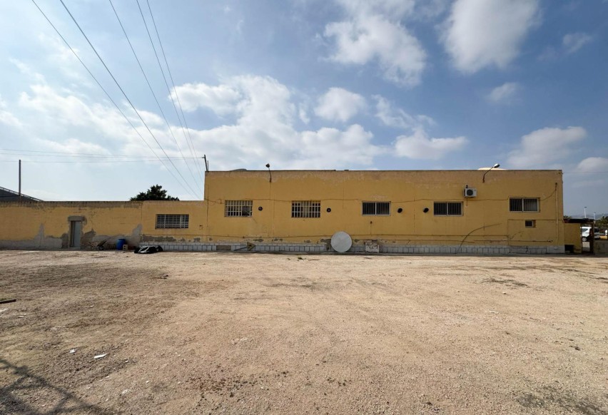 Resale - Commercial - Elche Pedanías - Algoda
