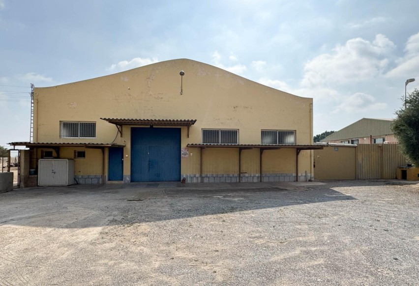 Resale - Commercial - Elche Pedanías - Algoda
