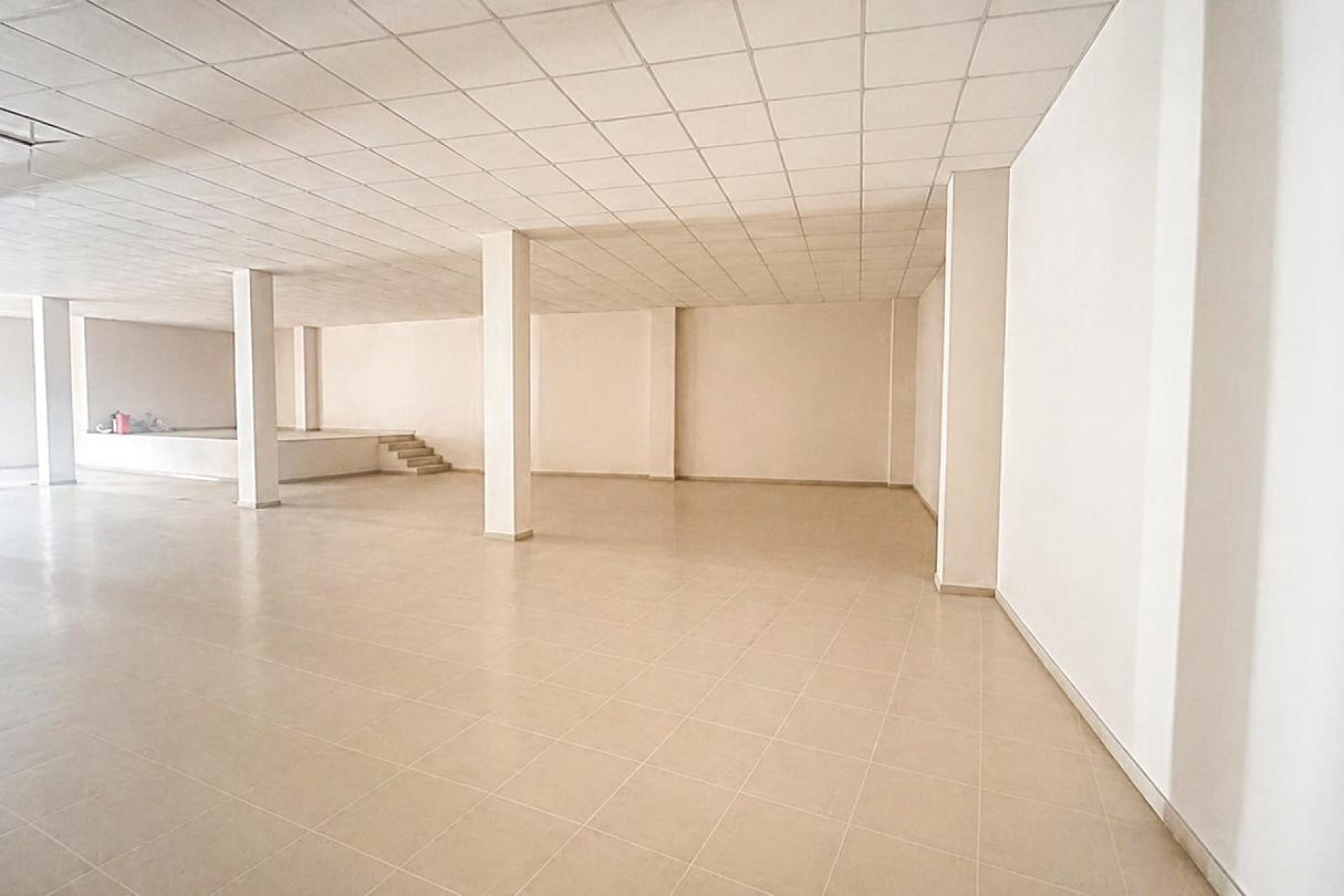Resale - Commercial - Elche Pedanías - Las Bayas-Asprillas