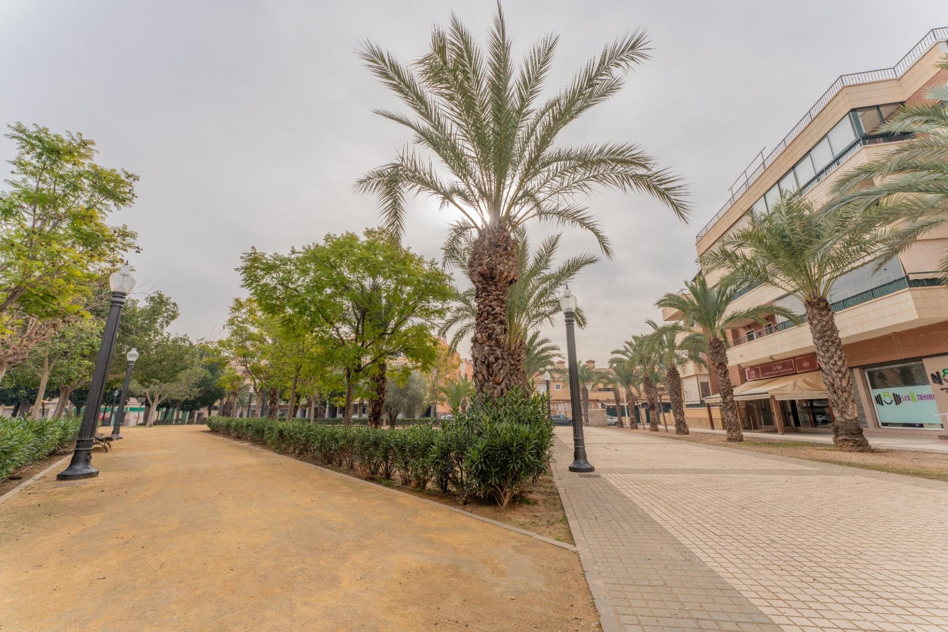 Resale - Commercial - Elche Pedanías - Las Bayas