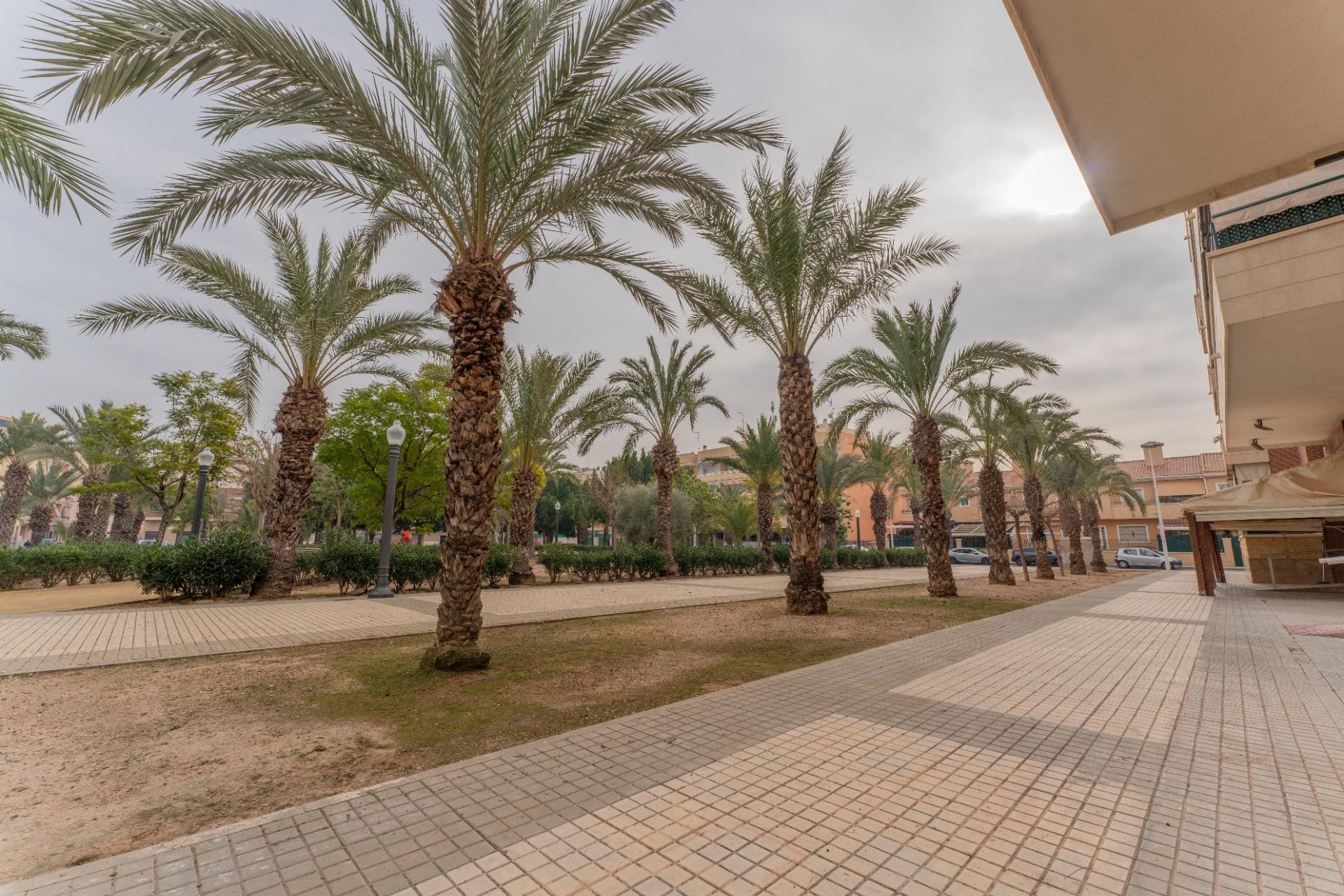 Resale - Commercial - Elche Pedanías - Las Bayas