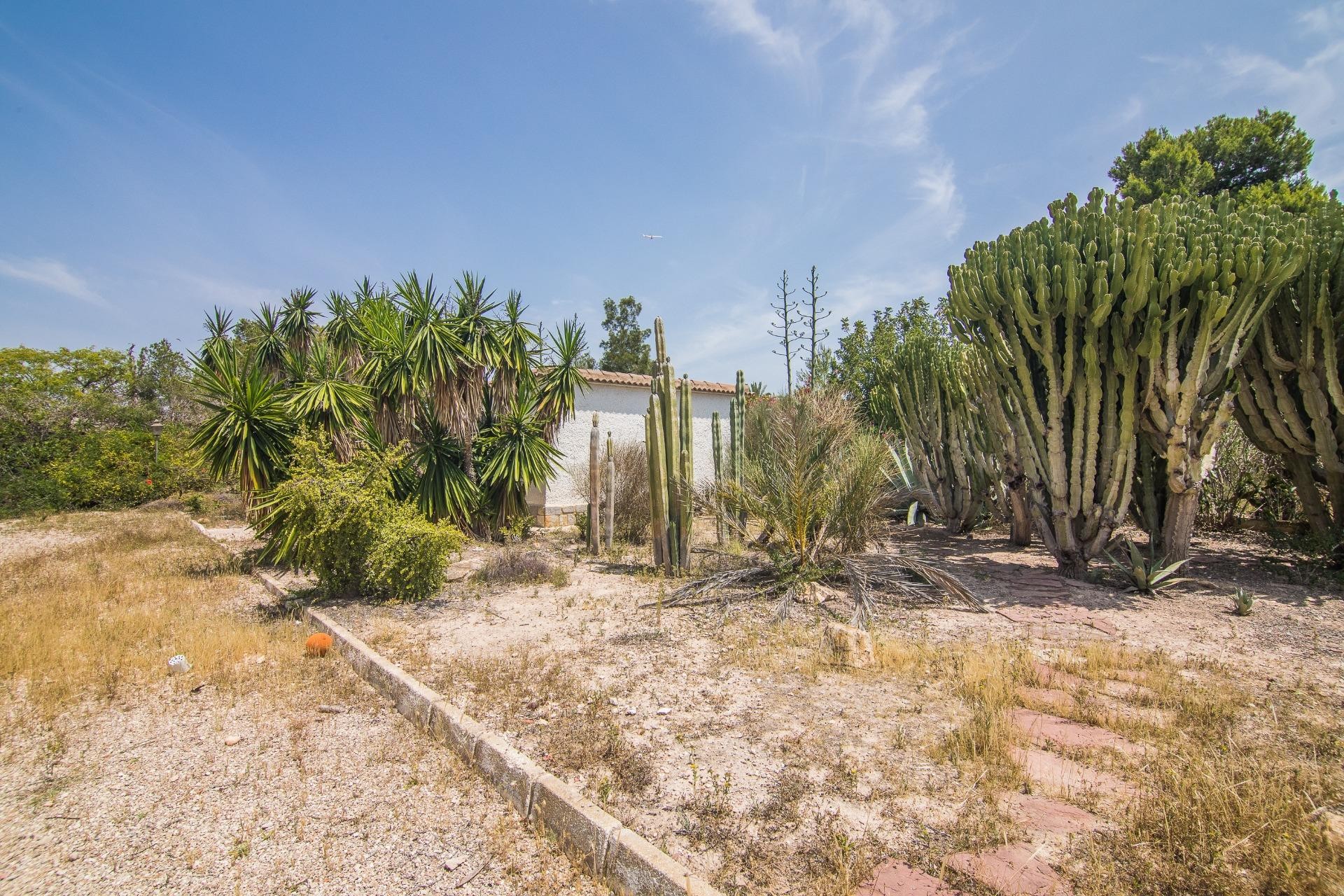 Resale - house - Elche - La Galia-Bonavista