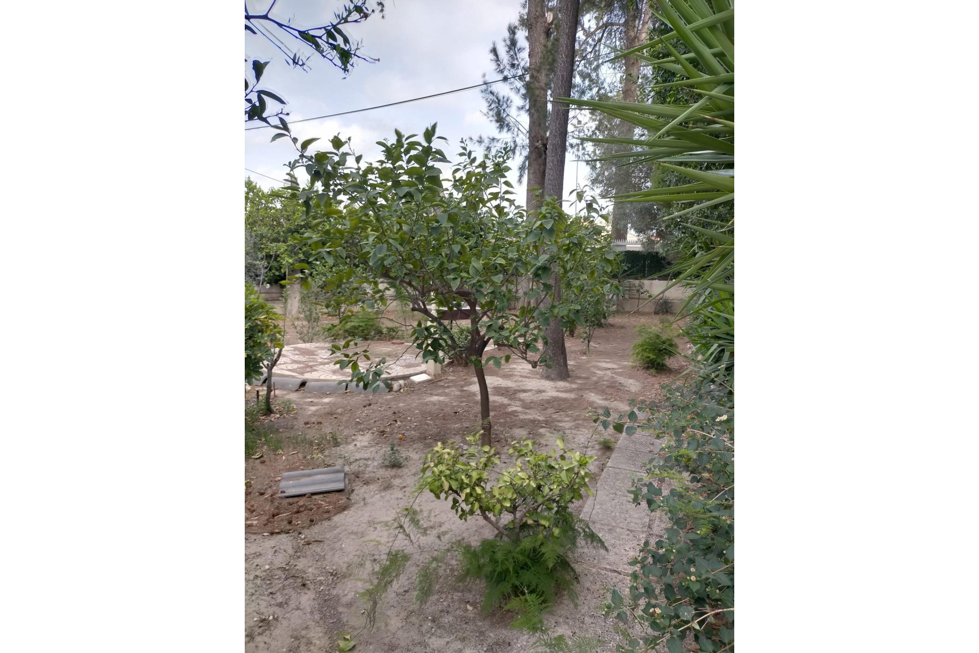 Resale - house - Orihuela Costa - Orihuela