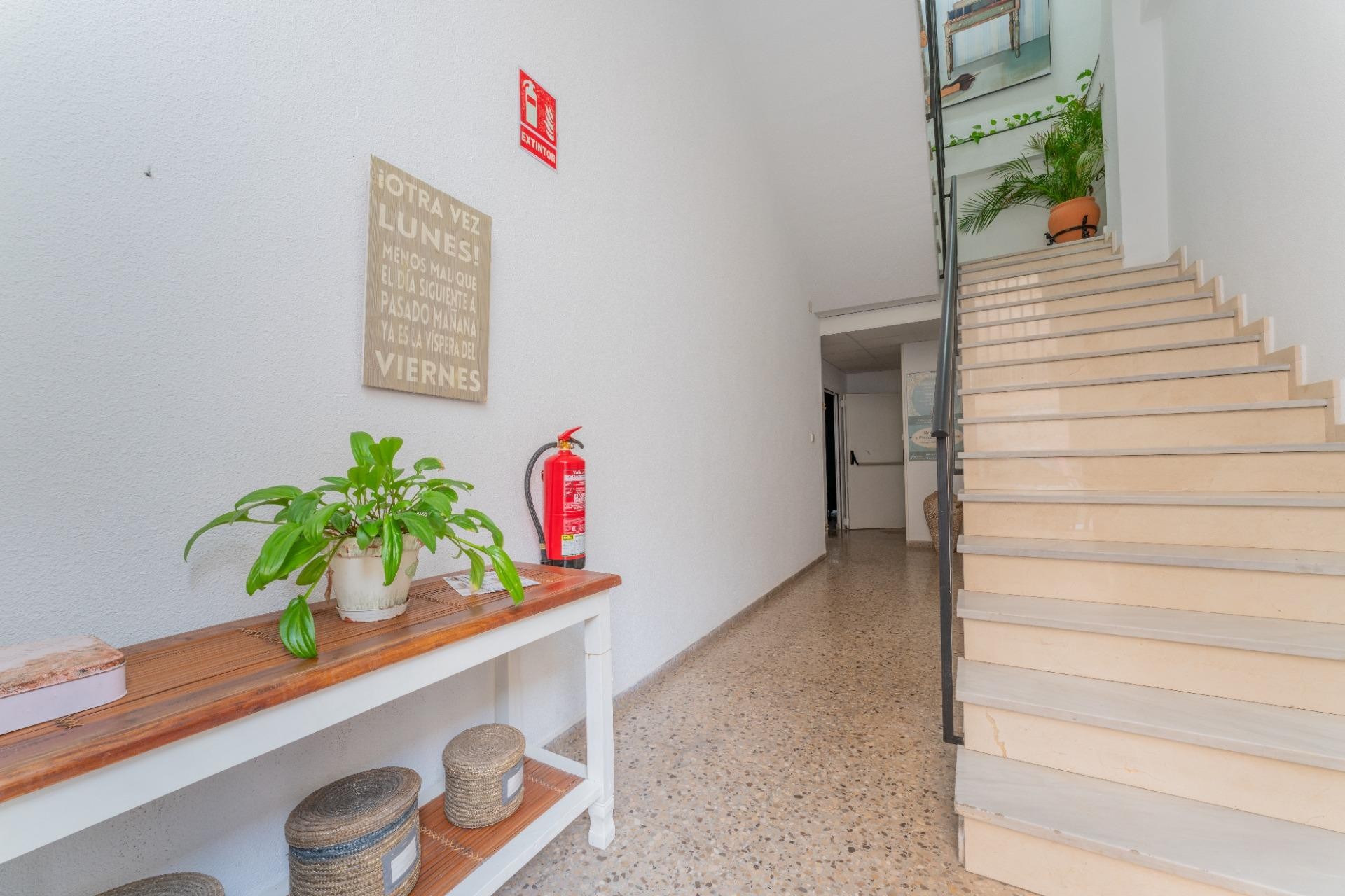 Resale - Nave industrial - Elche - Carrús Este