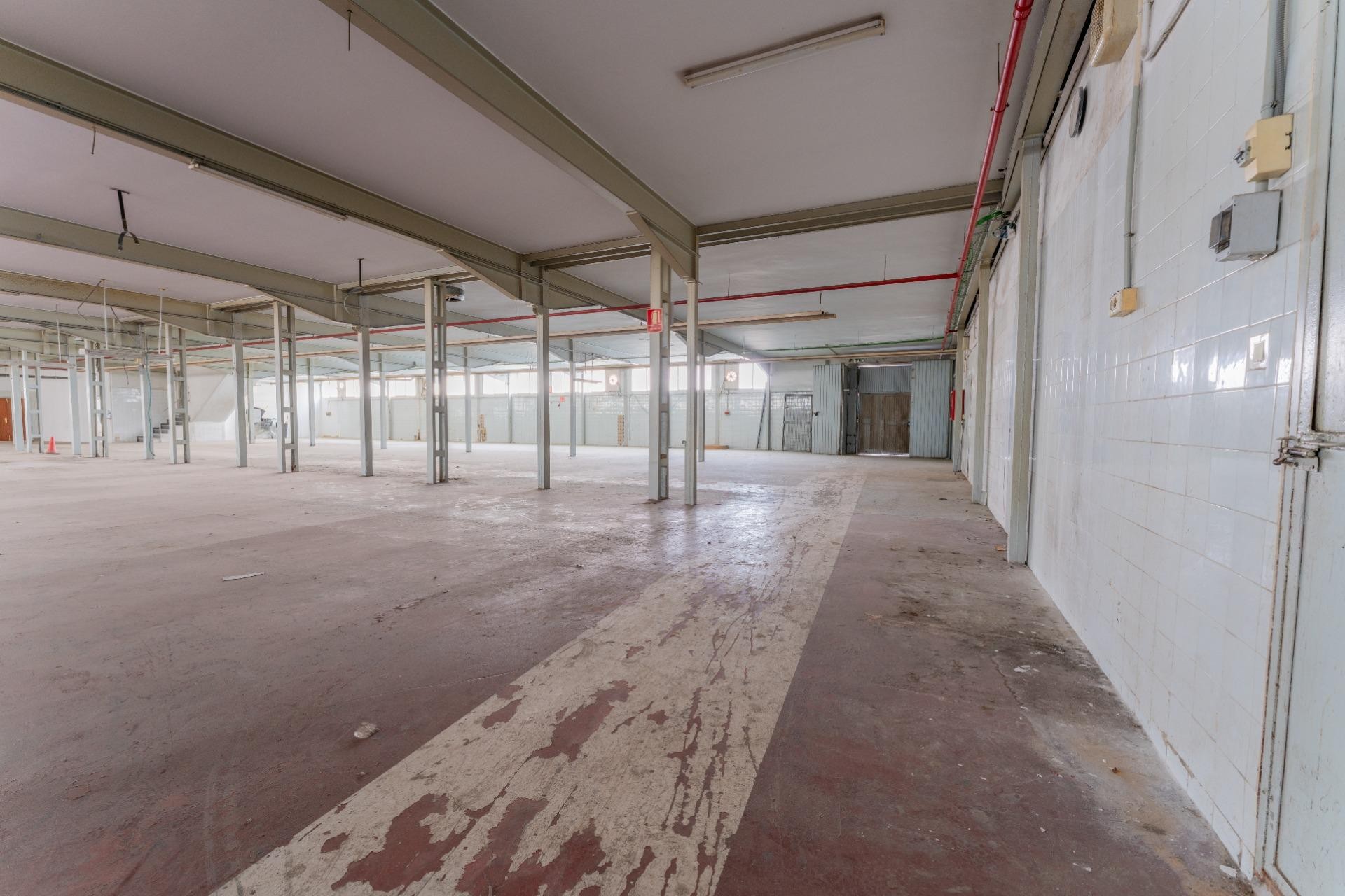 Resale - Nave industrial - Elche - Toscar