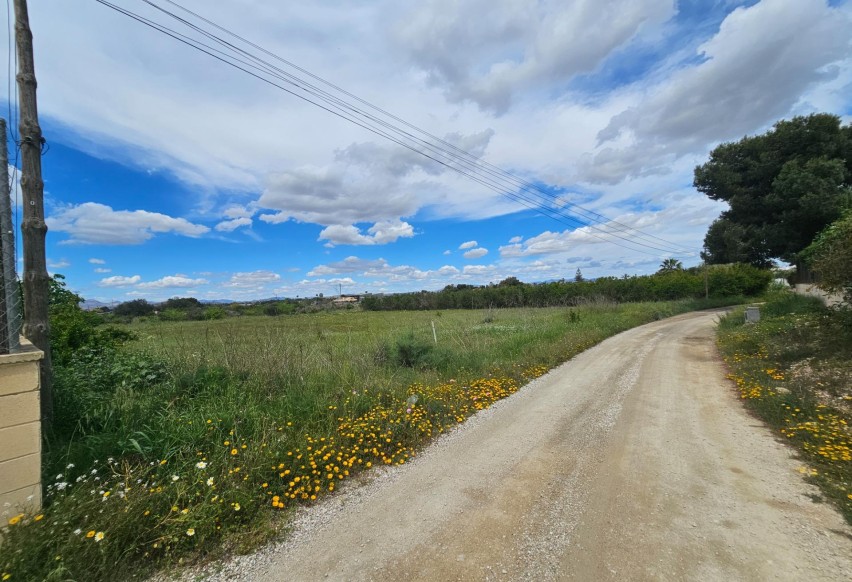 Resale - Plot - Elche Pedanías - Valverde