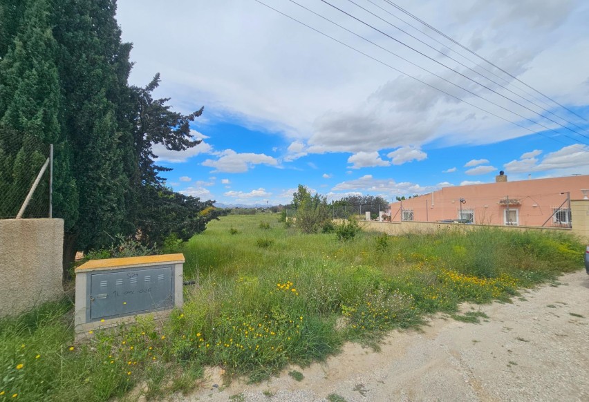 Resale - Plot - Elche Pedanías - Valverde