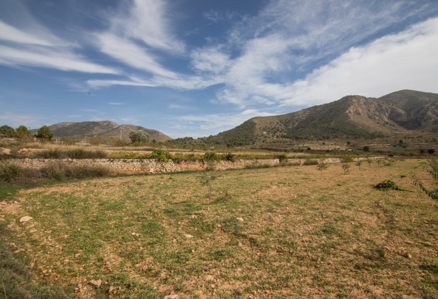 Resale - Plot / Land - Algueña - ALGUEÑA