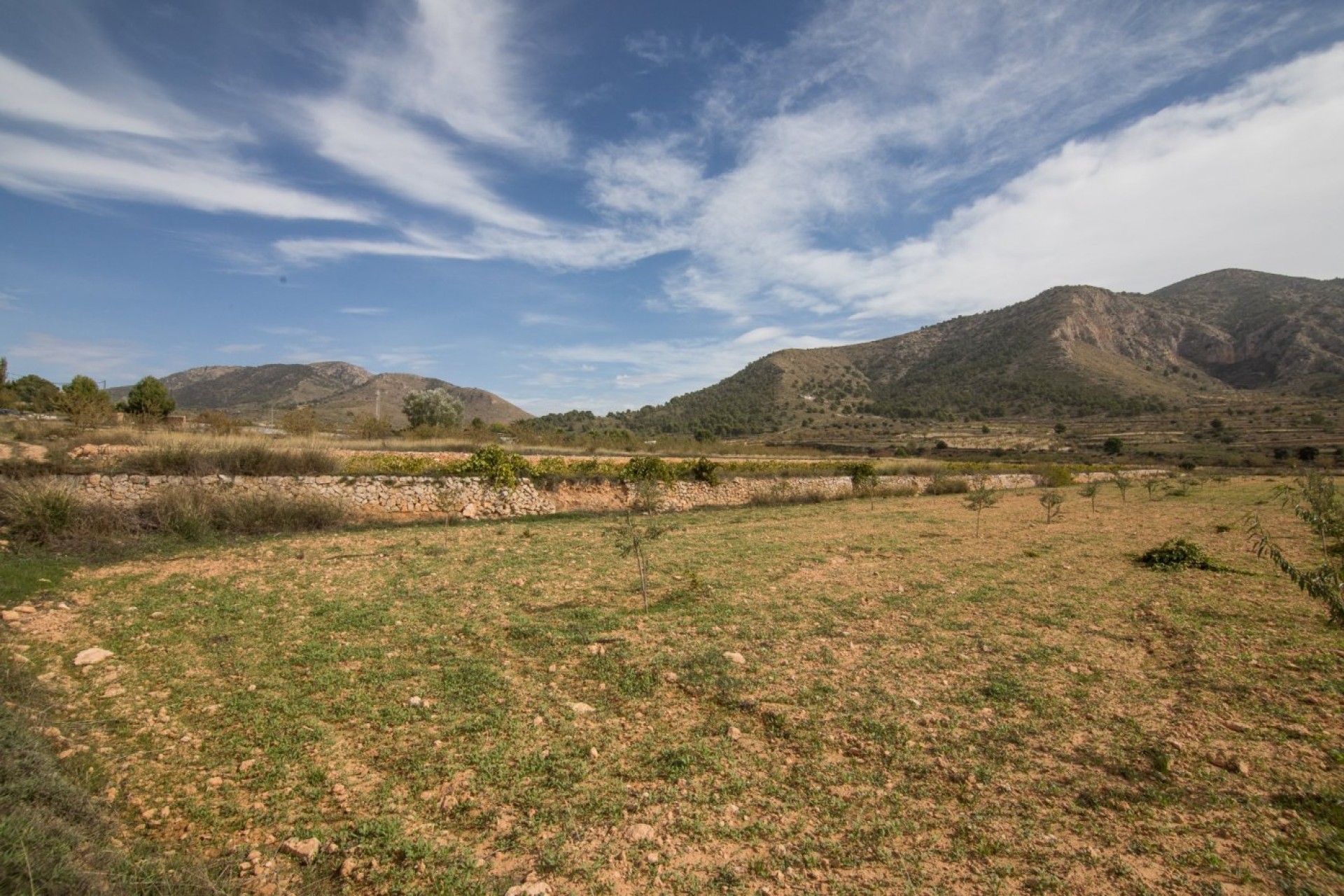 Resale - Plot / Land - Algueña - ALGUEÑA