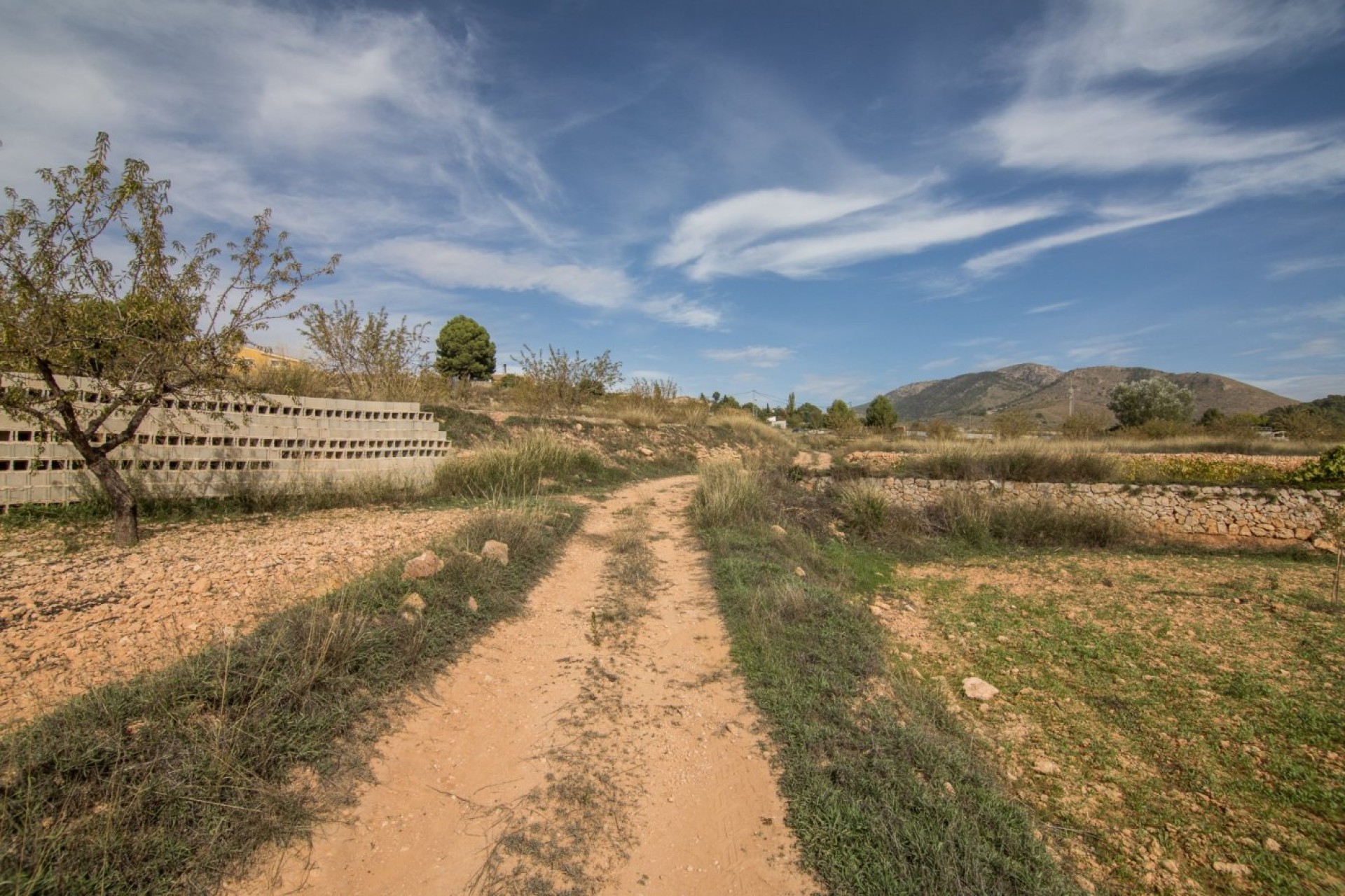 Resale - Plot / Land - Algueña - ALGUEÑA