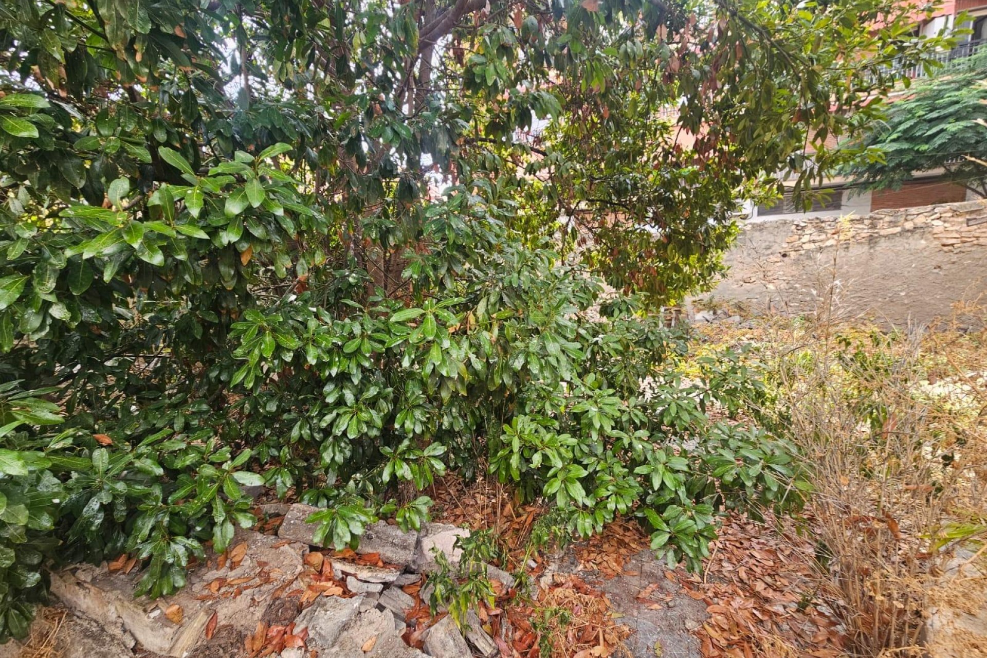Resale - Plot / Land - Alicante - San Gabriel