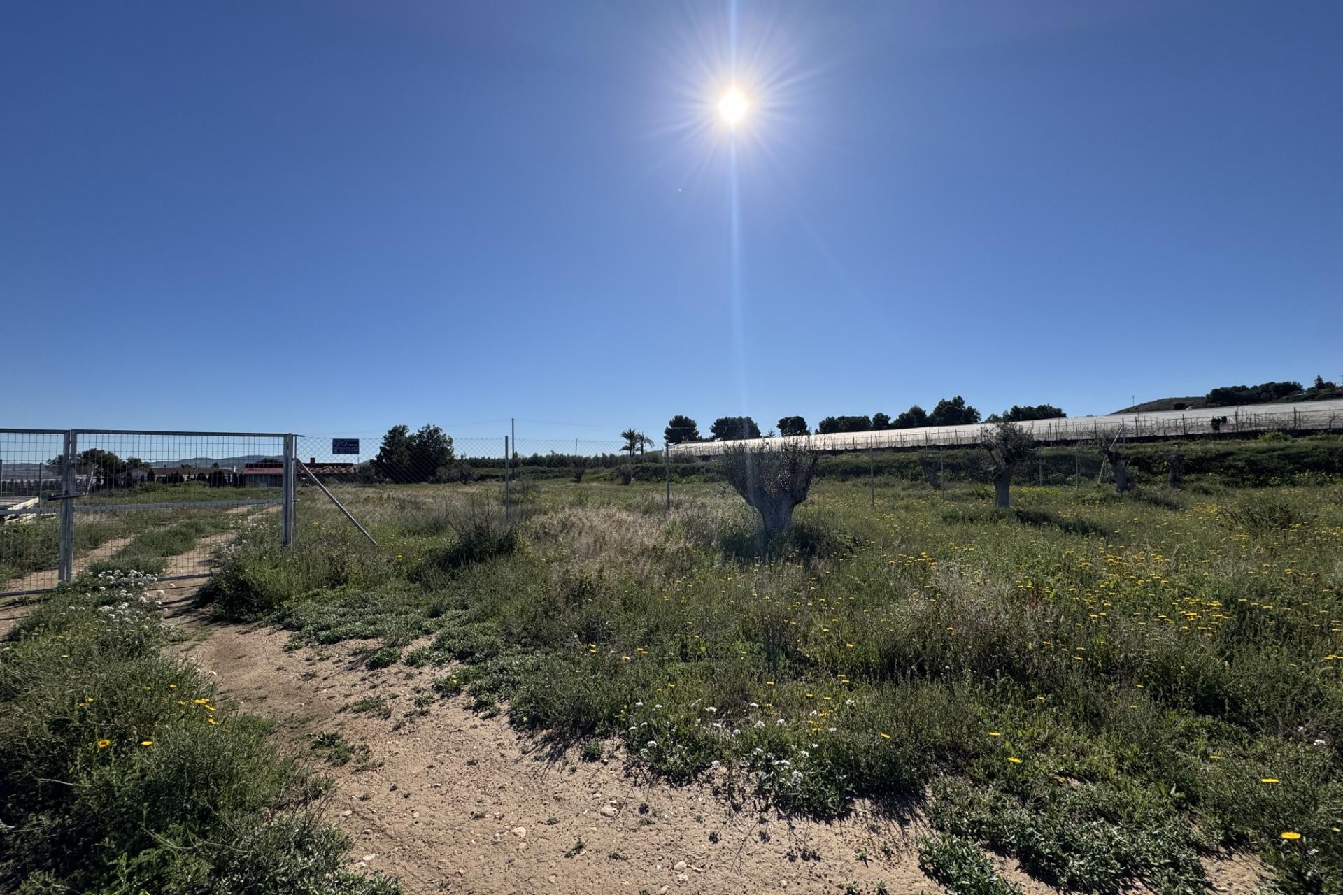 Resale - Plot / Land - Aspe - Huerta mayor