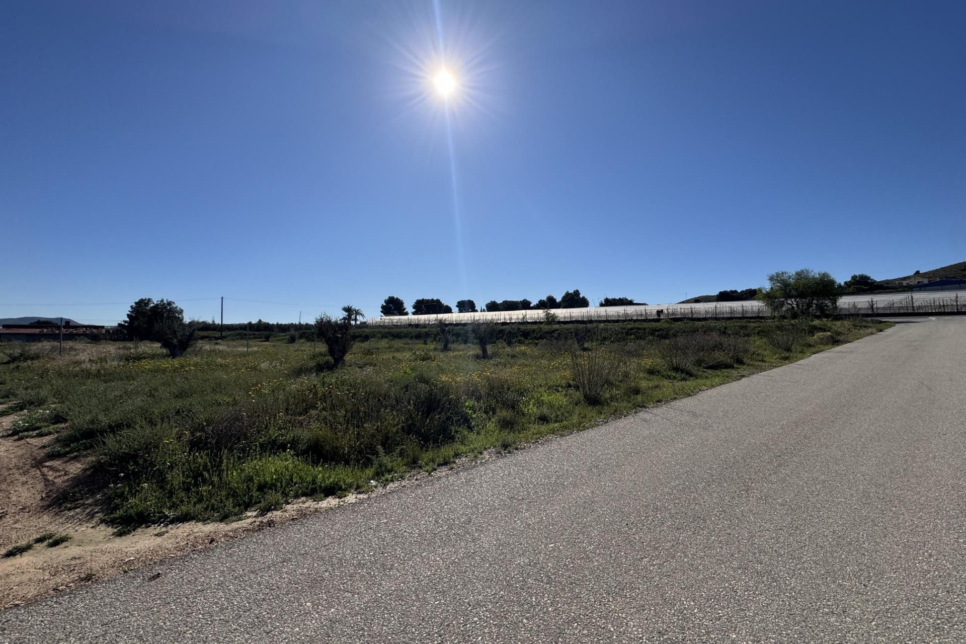 Resale - Plot / Land - Aspe - Huerta mayor