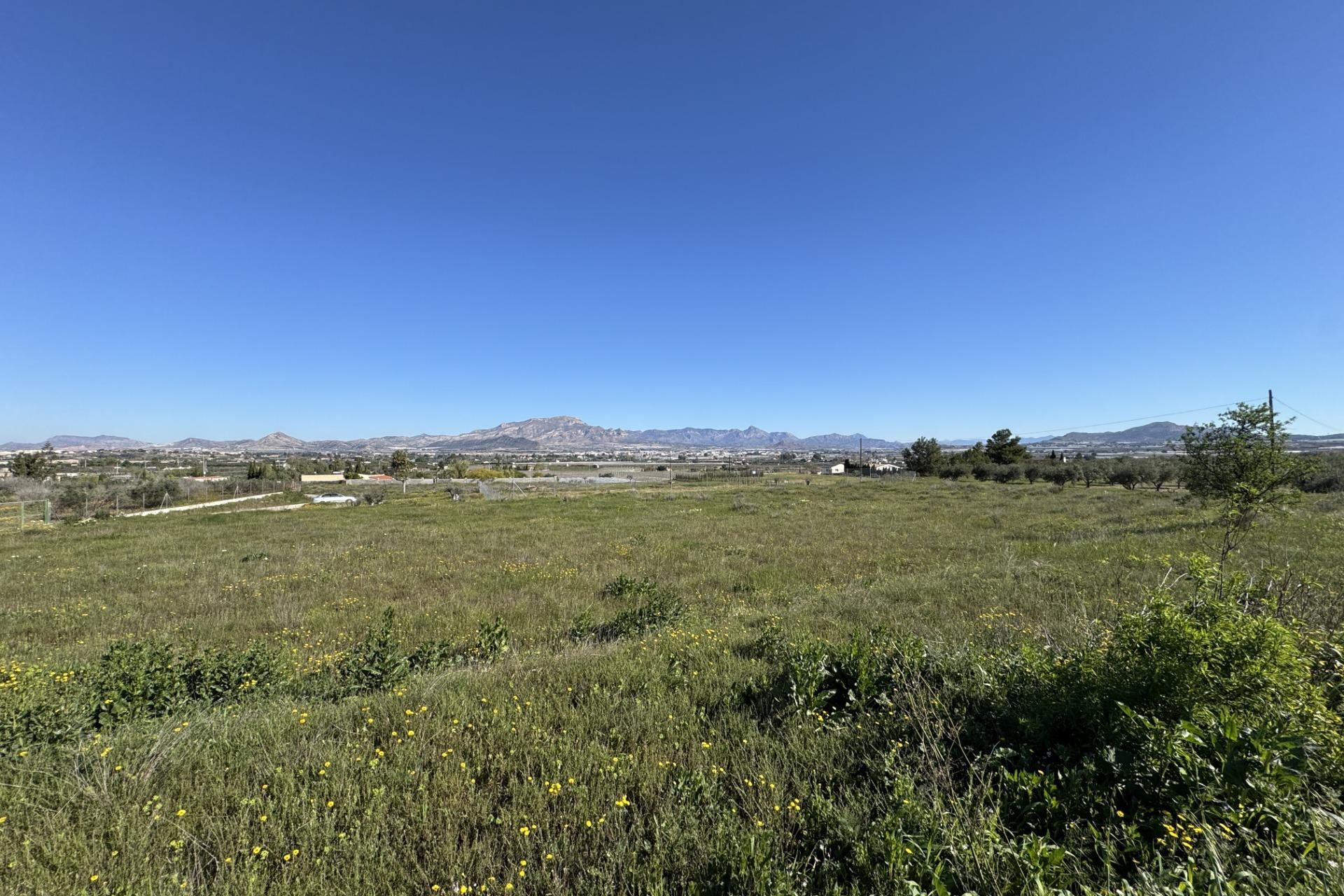 Resale - Plot / Land - Aspe - Huerta mayor