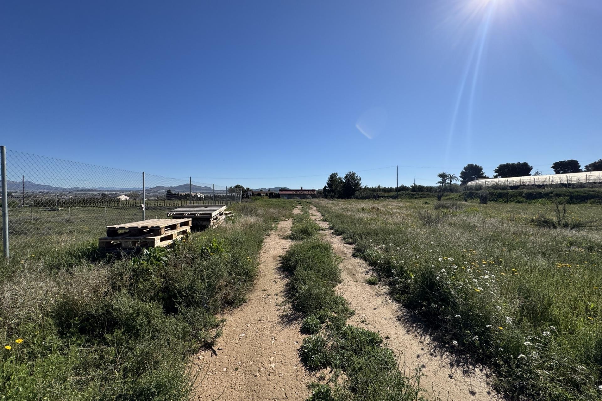 Resale - Plot / Land - Aspe - Huerta mayor