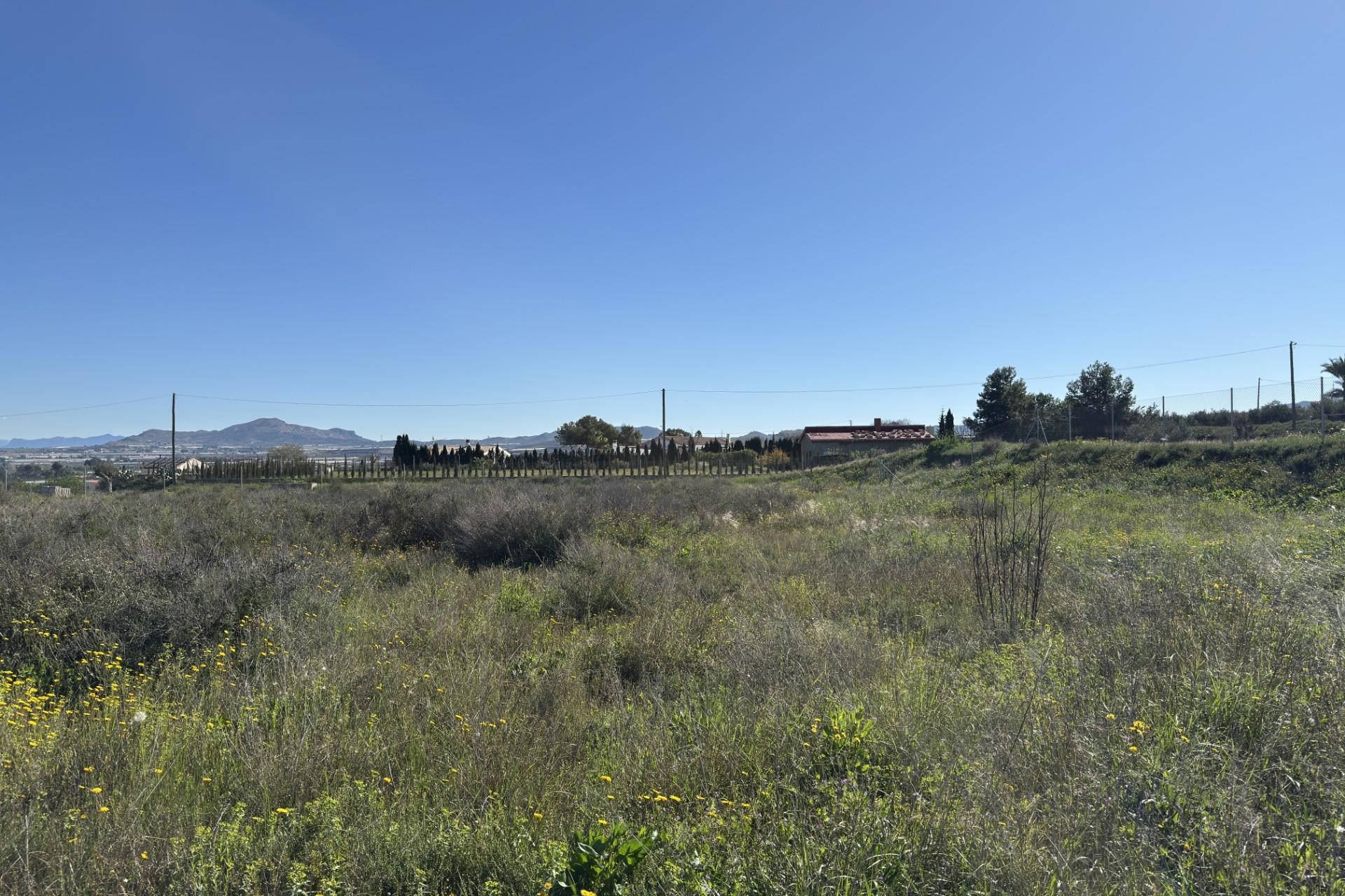 Resale - Plot / Land - Aspe - Huerta mayor
