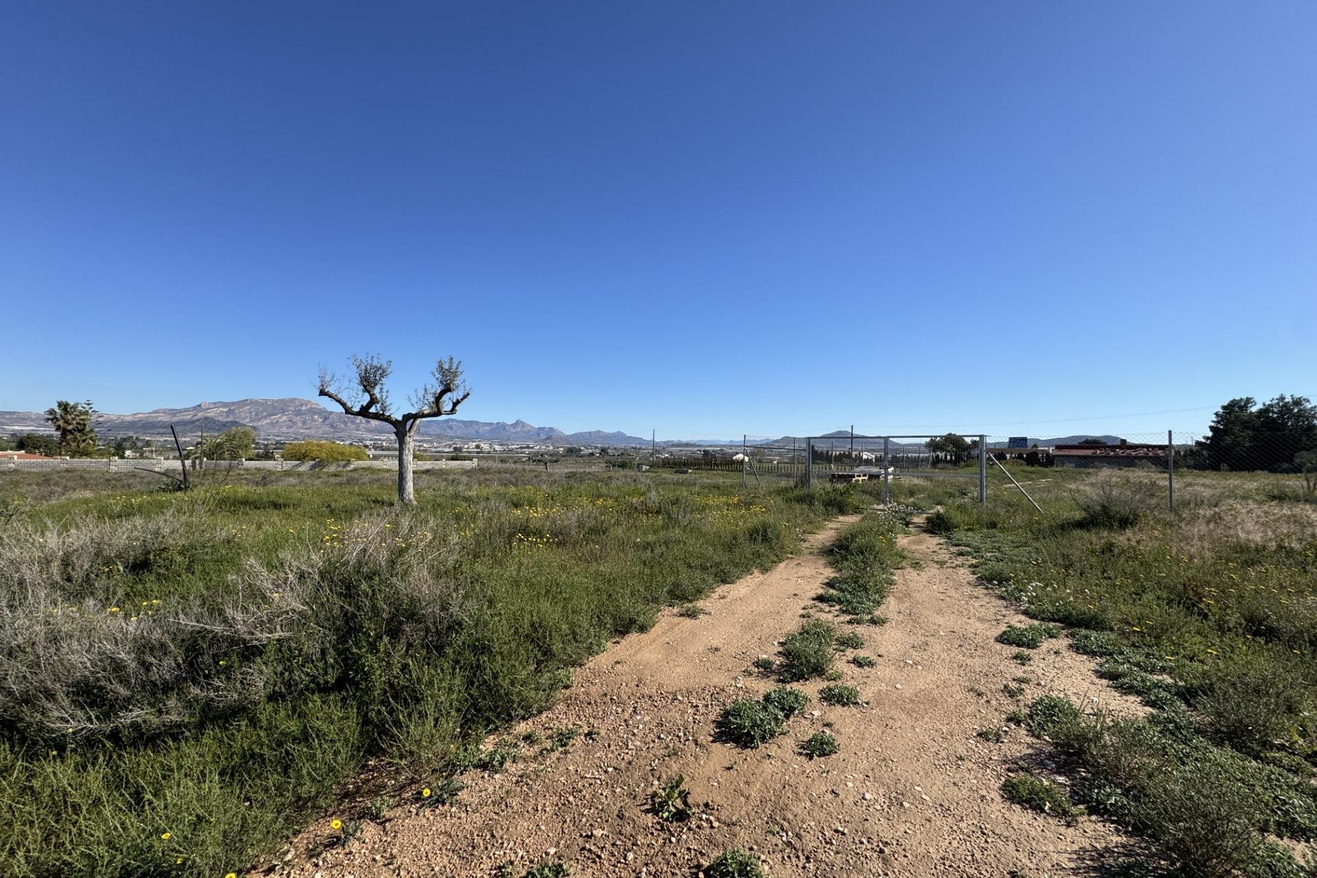 Resale - Plot / Land - Aspe - Huerta mayor