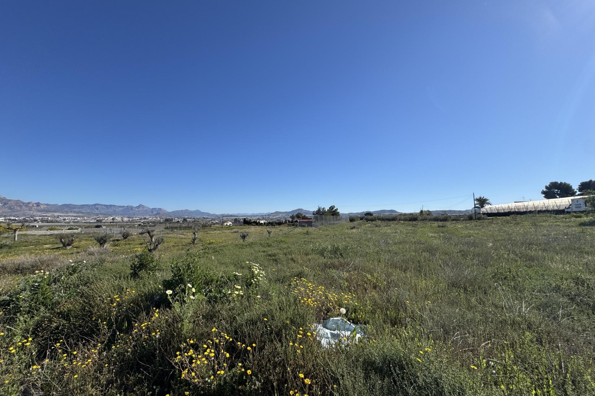 Resale - Plot / Land - Aspe - Huerta mayor