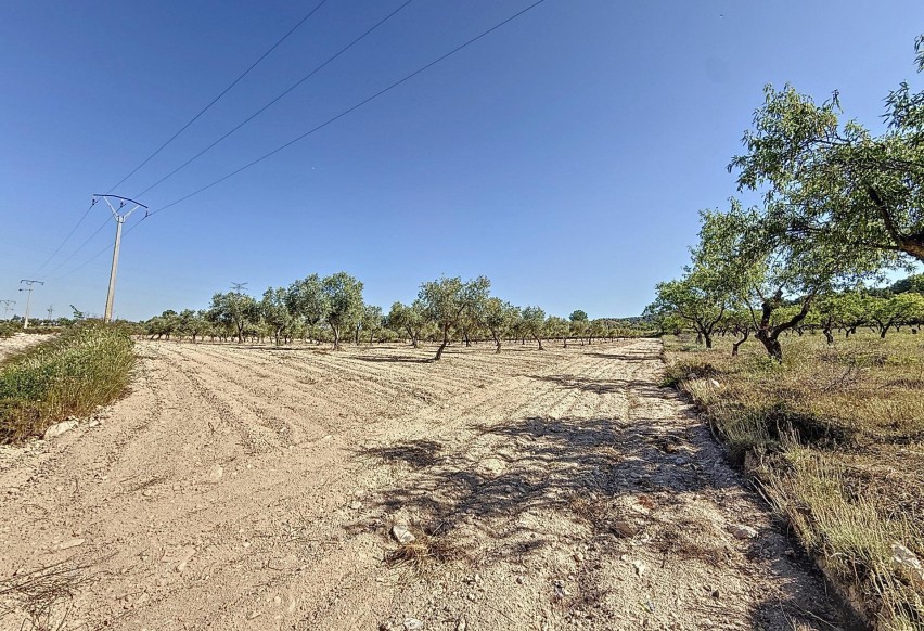 Resale - Plot / Land - Biar - Comunidad valenciana