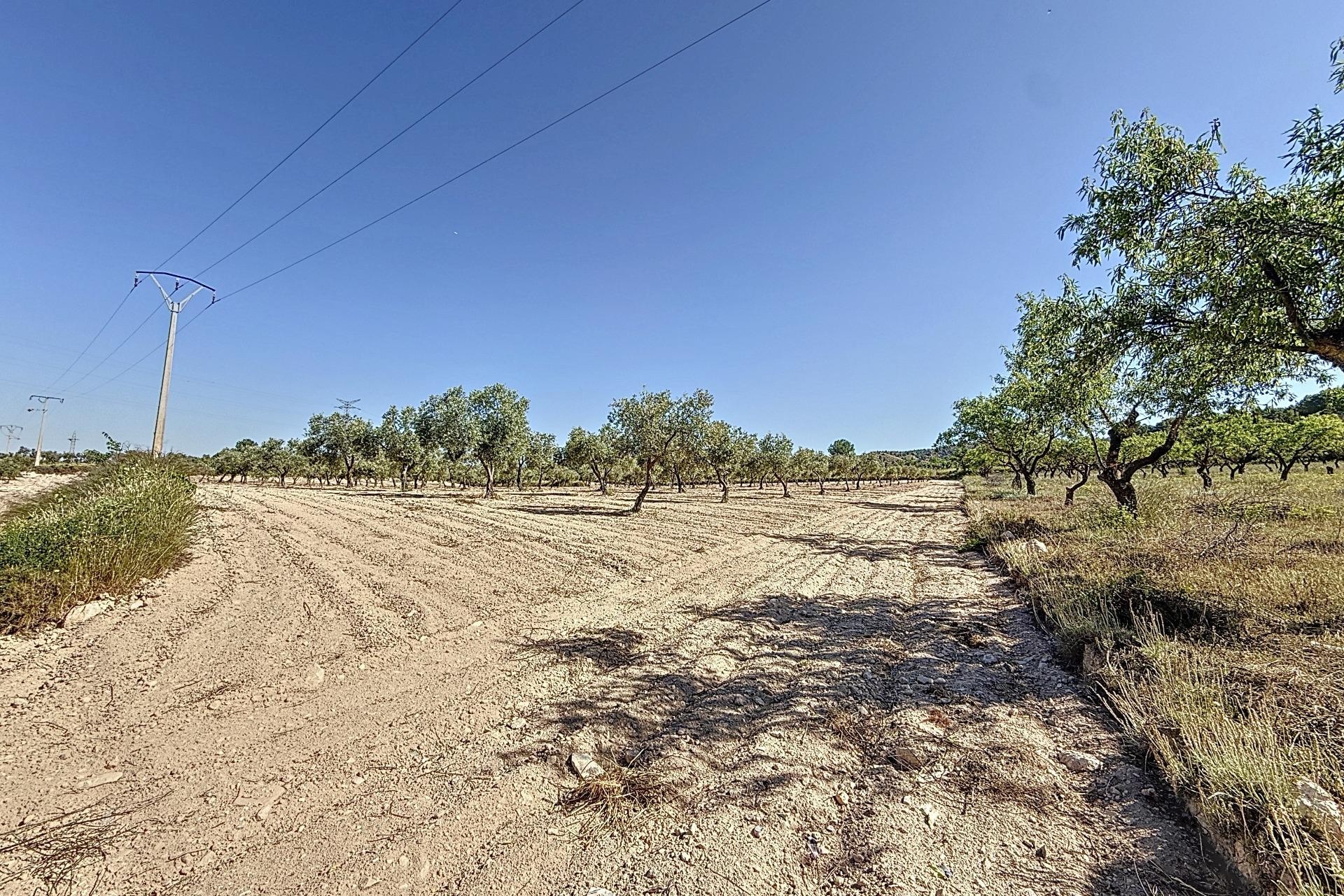 Resale - Plot / Land - Biar - Comunidad valenciana
