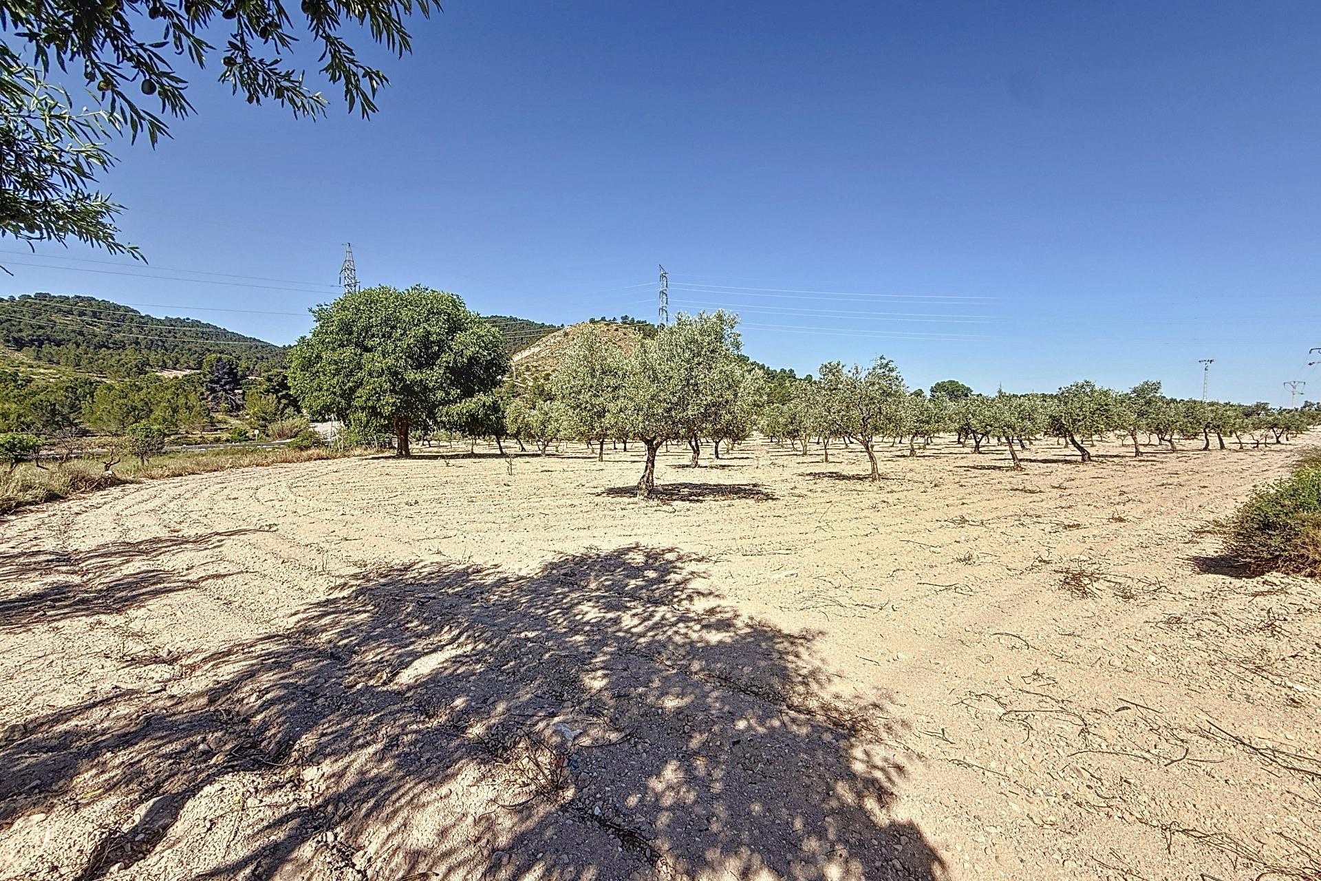 Resale - Plot / Land - Biar - Comunidad valenciana