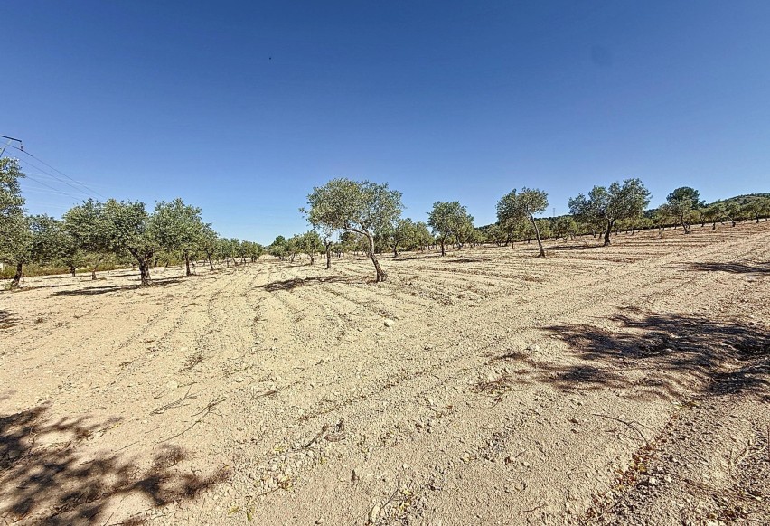 Resale - Plot / Land - Biar - Comunidad valenciana