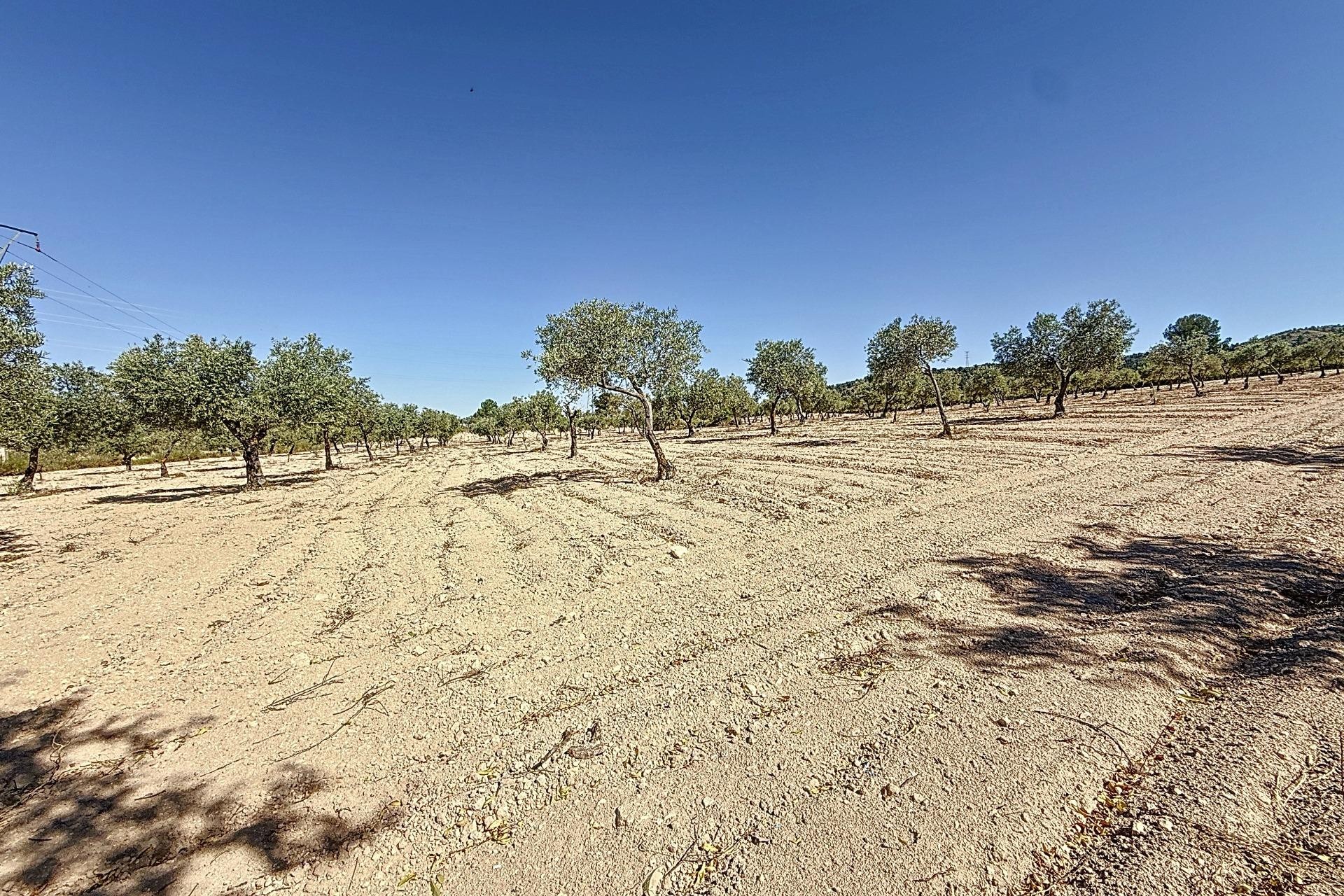 Resale - Plot / Land - Biar - Comunidad valenciana