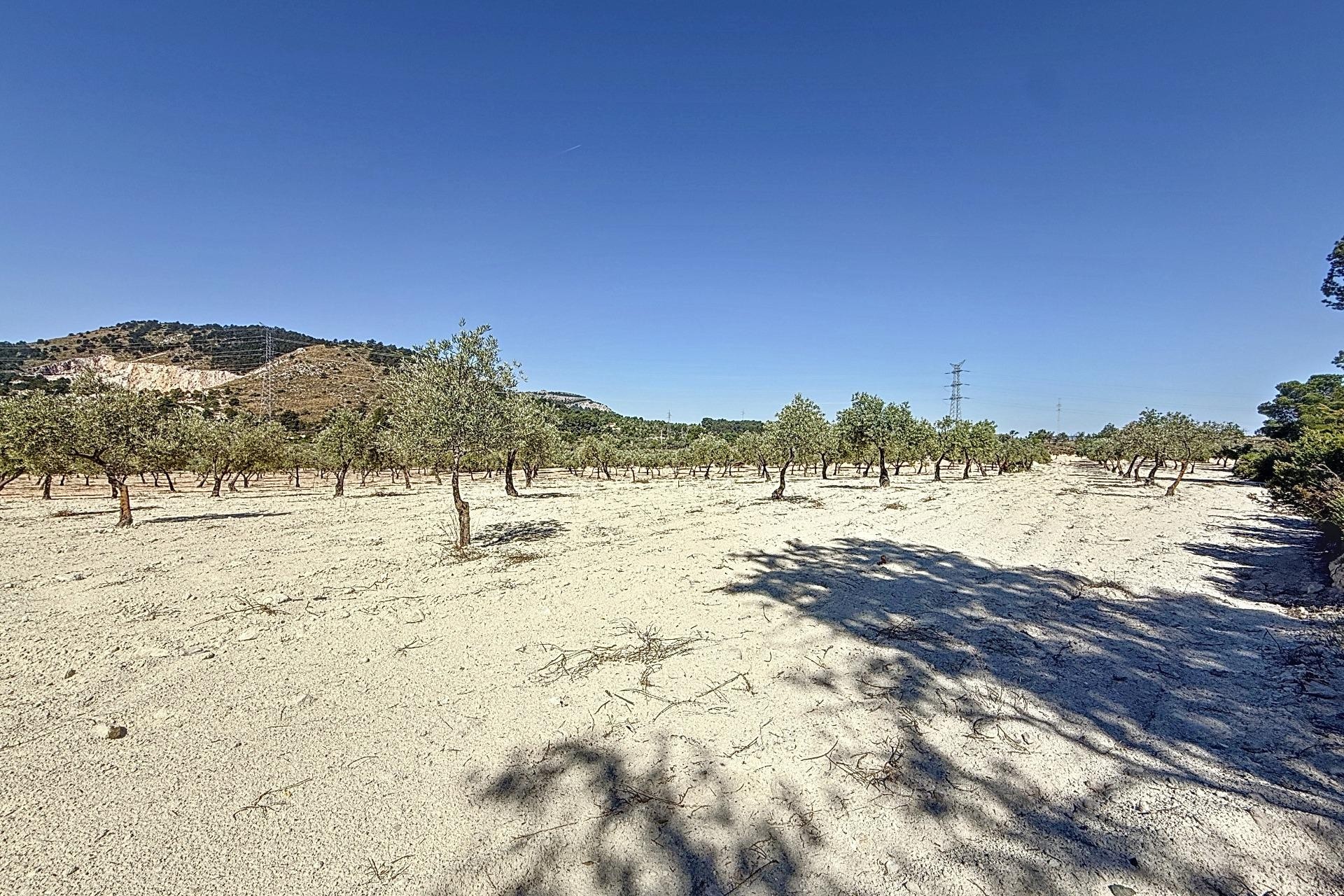 Resale - Plot / Land - Biar - Comunidad valenciana
