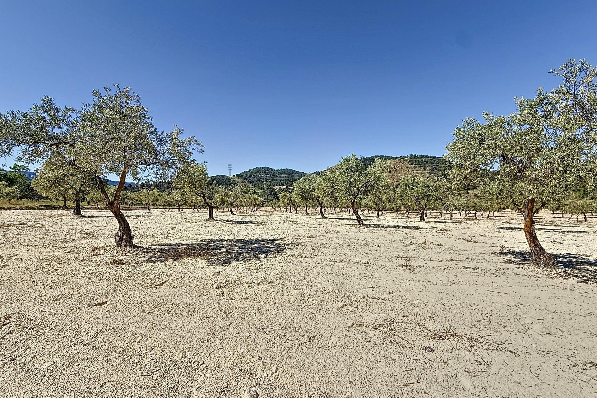 Resale - Plot / Land - Biar - Comunidad valenciana