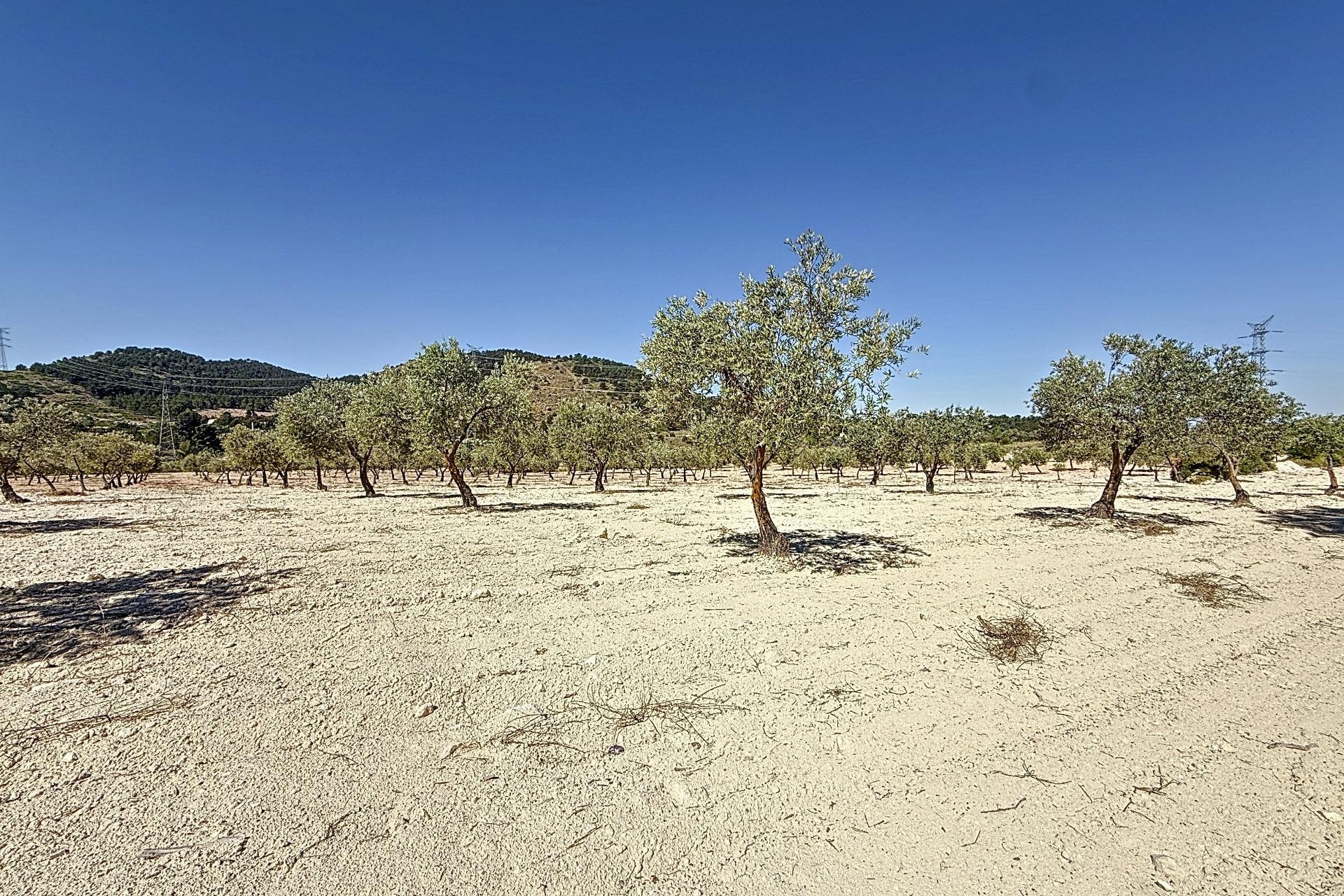 Resale - Plot / Land - Biar - Comunidad valenciana