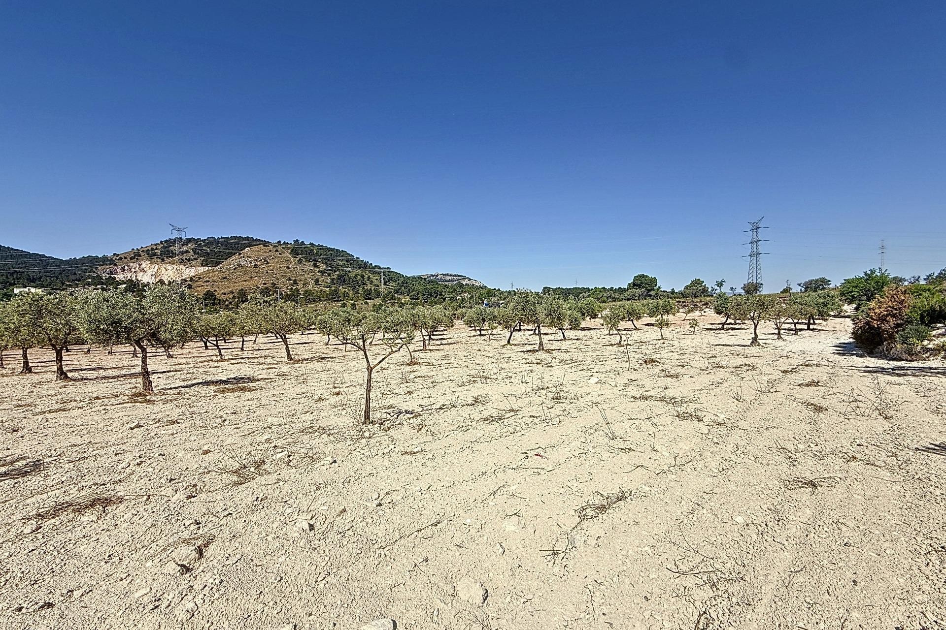 Resale - Plot / Land - Biar - Comunidad valenciana