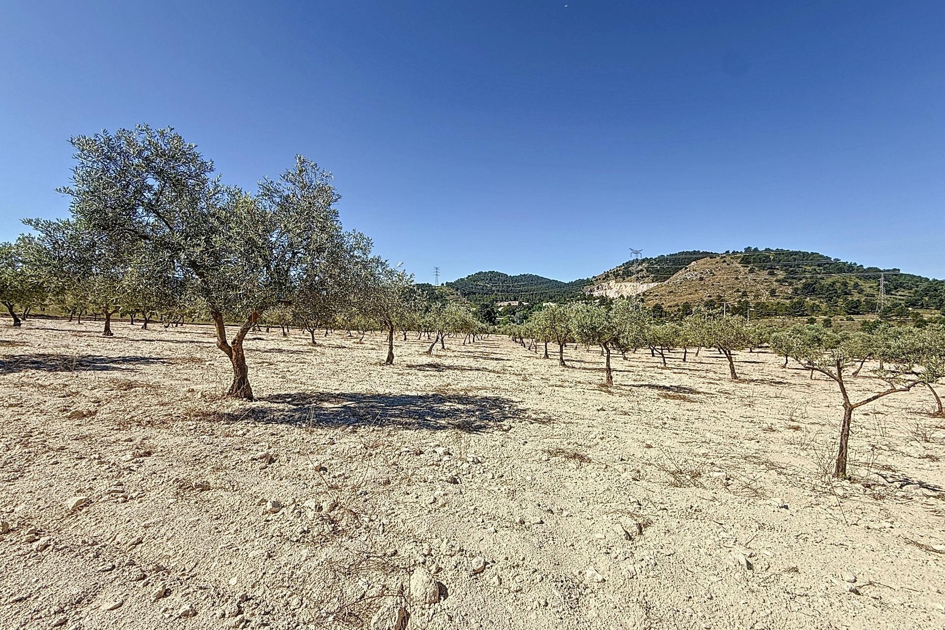 Resale - Plot / Land - Biar - Comunidad valenciana