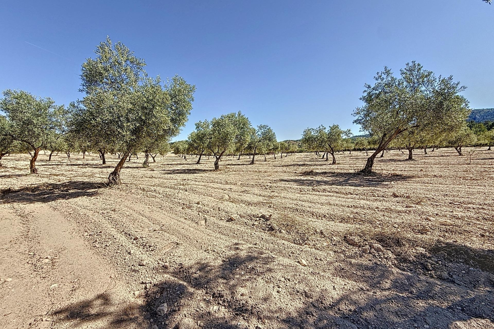 Resale - Plot / Land - Biar - Comunidad valenciana