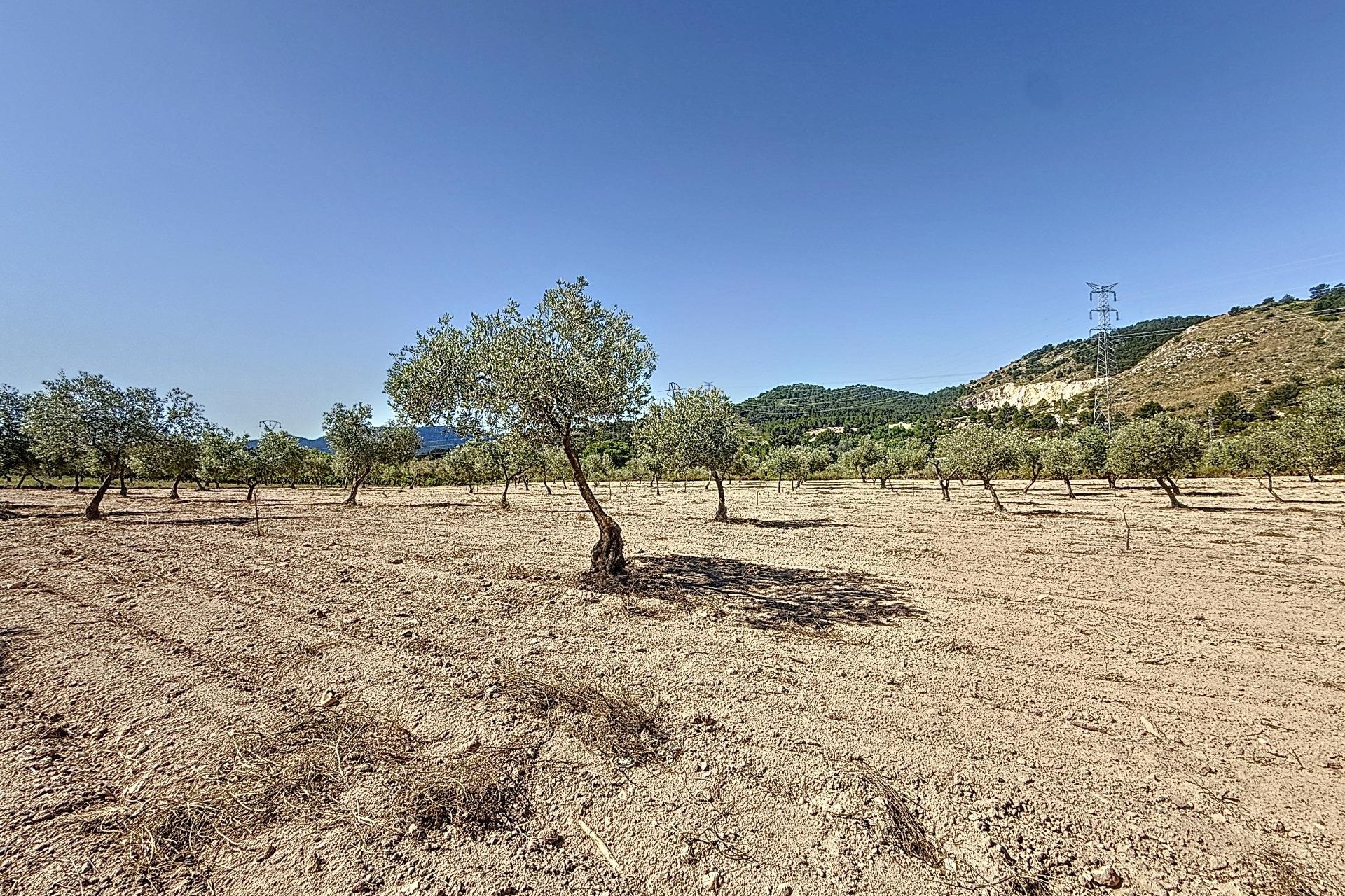 Resale - Plot / Land - Biar - Comunidad valenciana