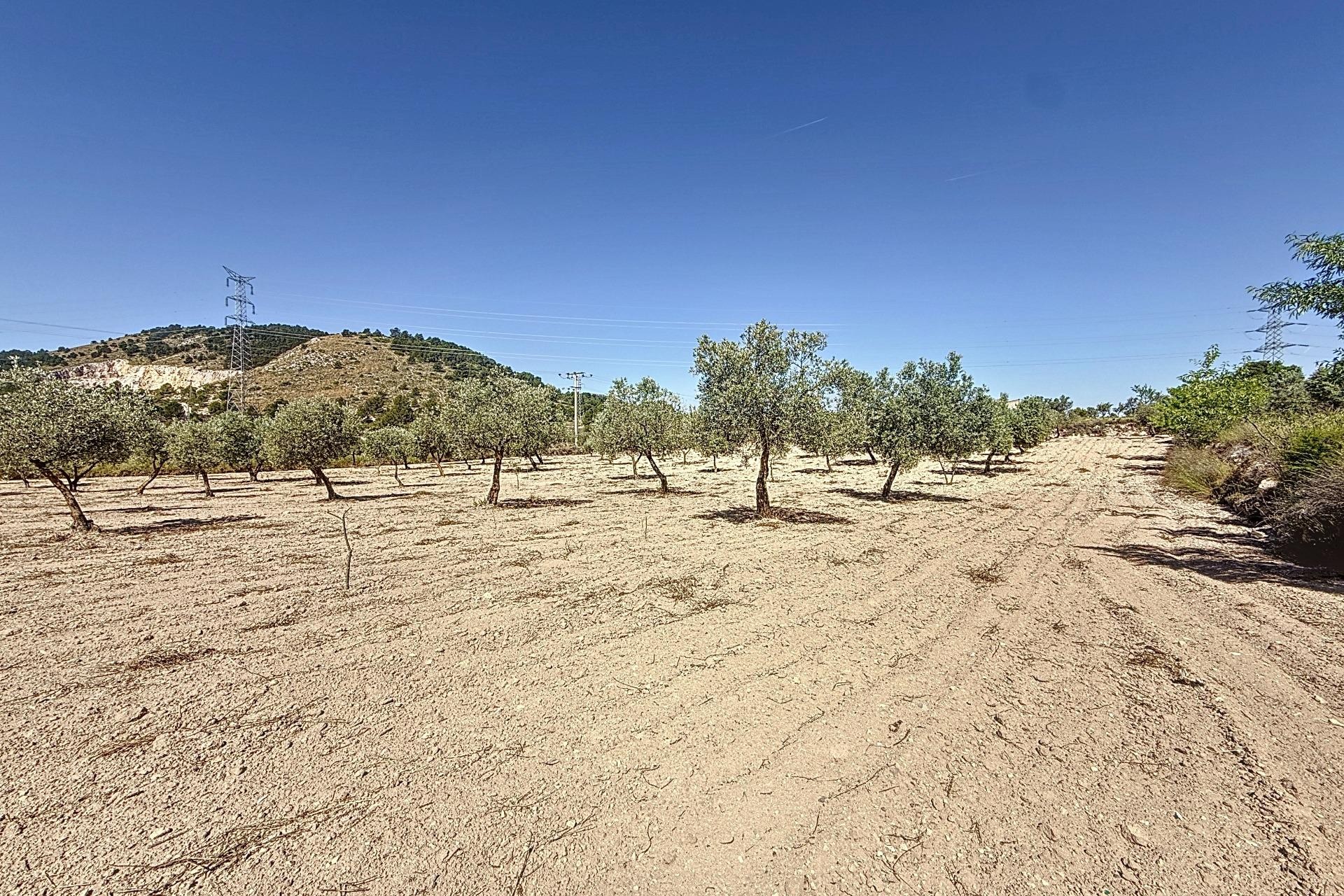 Resale - Plot / Land - Biar - Comunidad valenciana