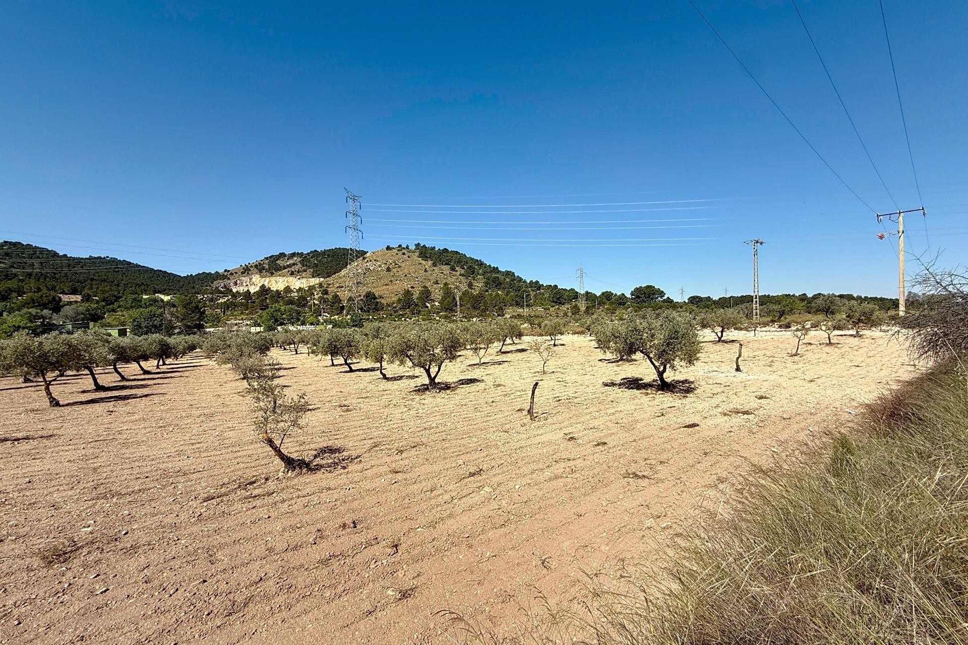 Resale - Plot / Land - Biar - Comunidad valenciana