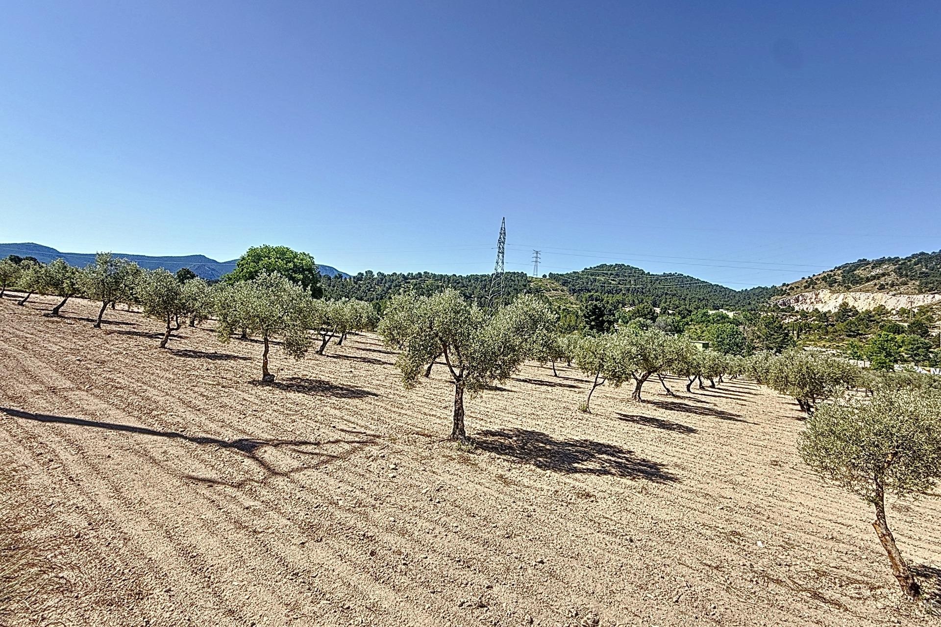 Resale - Plot / Land - Biar - Comunidad valenciana