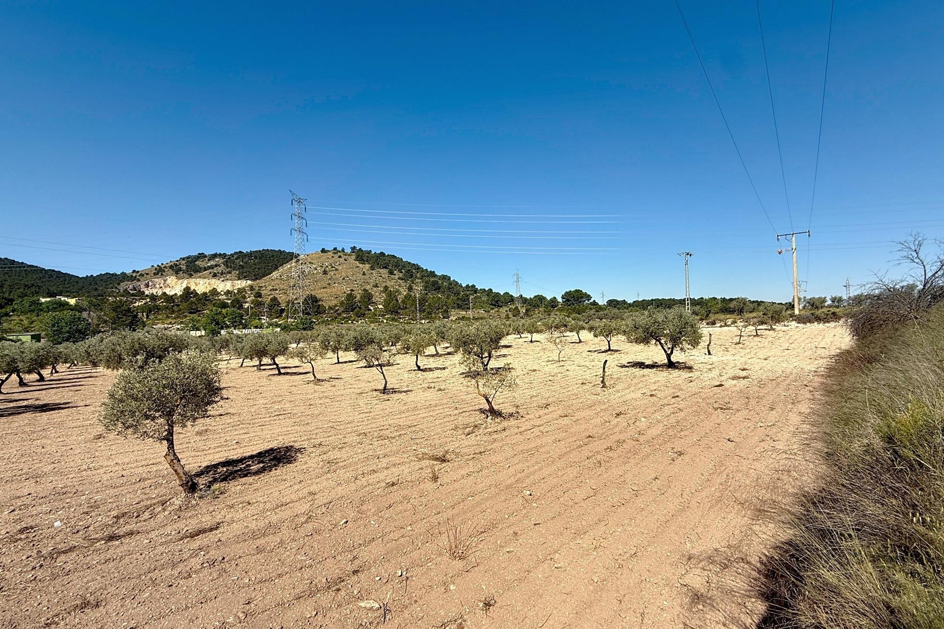 Resale - Plot / Land - Biar - Comunidad valenciana