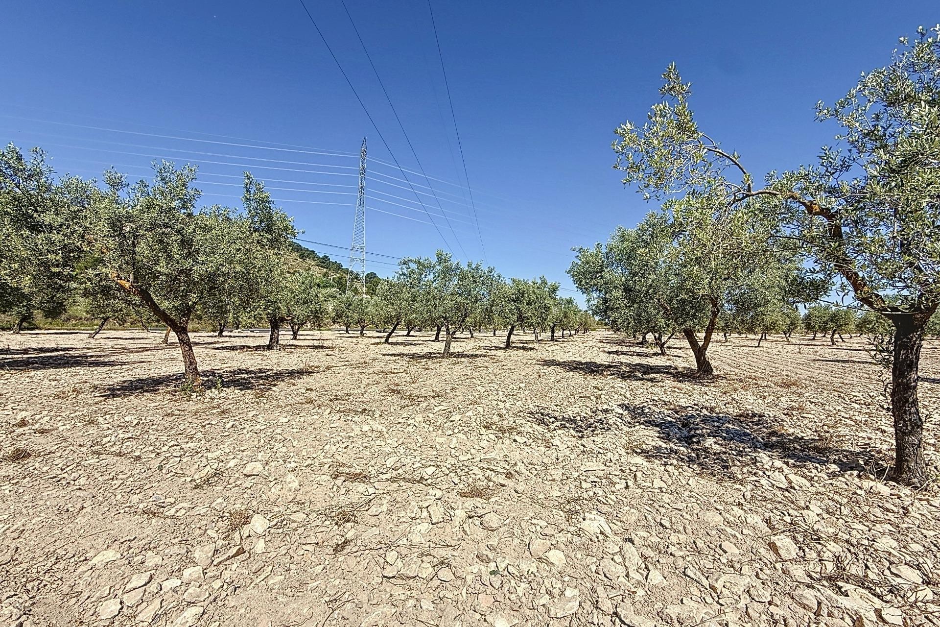 Resale - Plot / Land - Biar - Comunidad valenciana