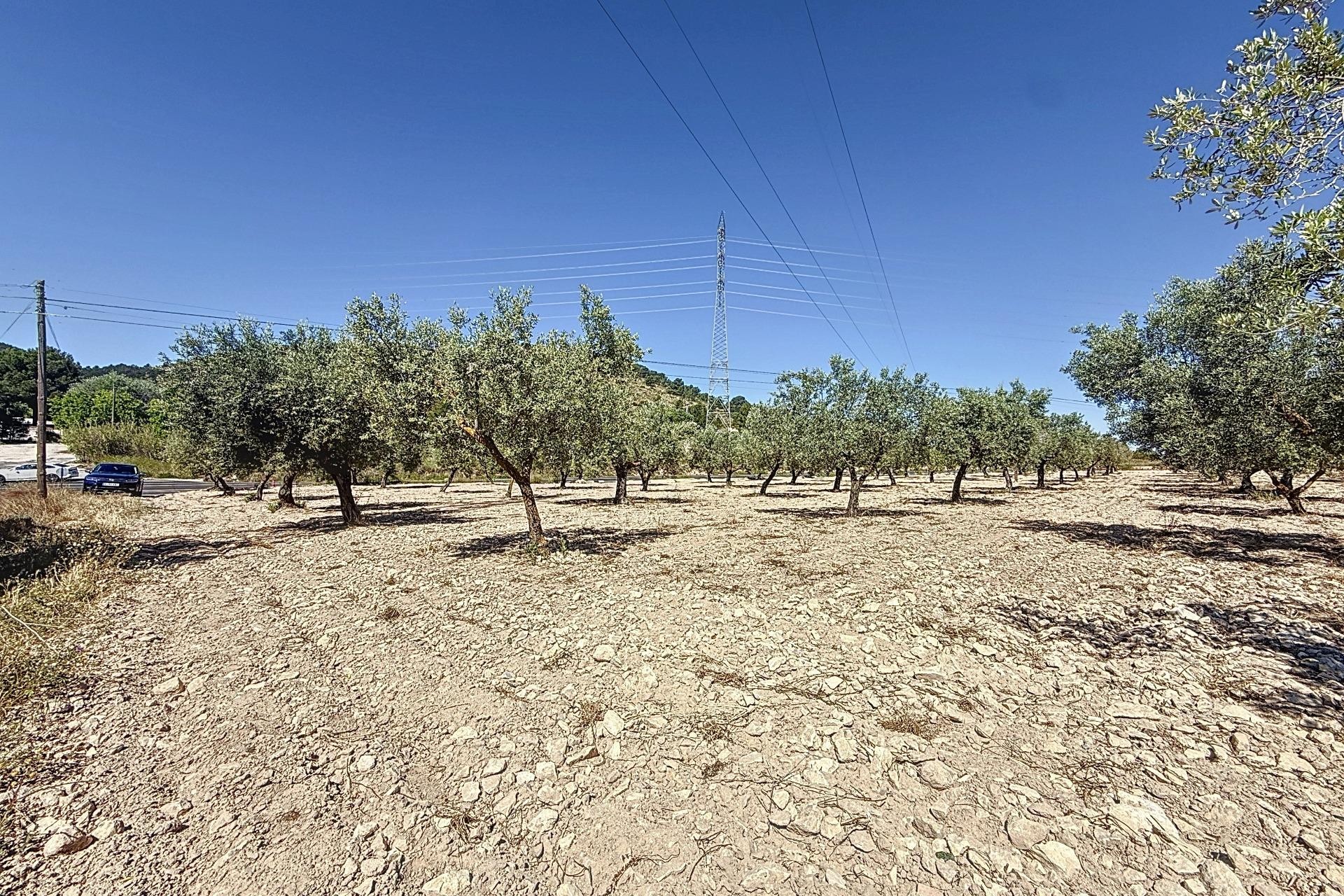 Resale - Plot / Land - Biar - Comunidad valenciana