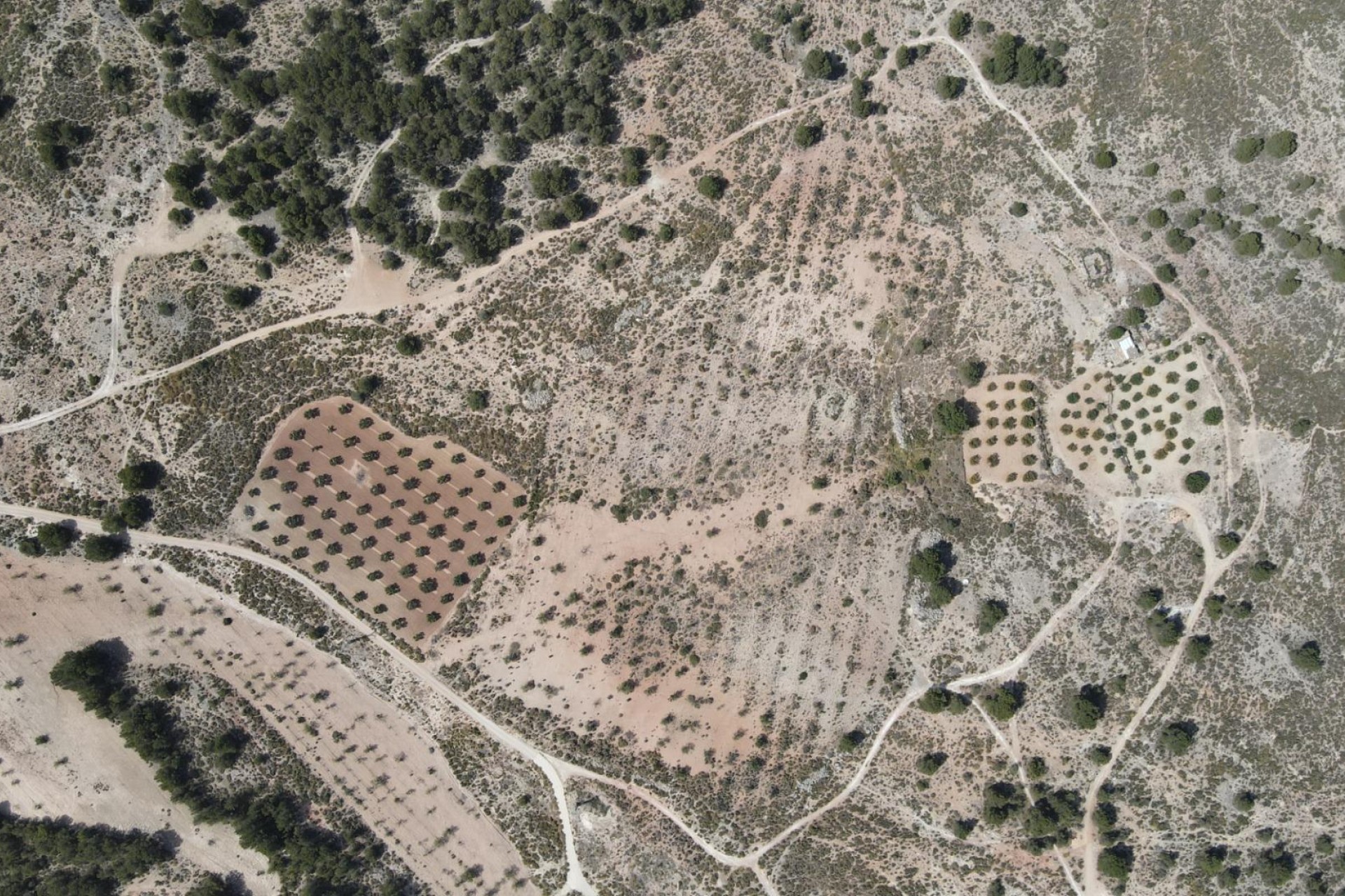 Resale - Plot / Land - Castalla - Castalla Internacional