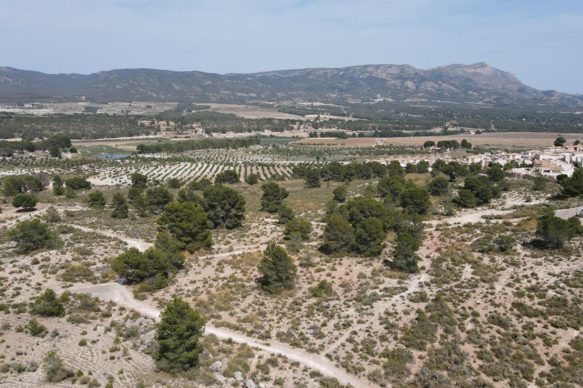 Resale - Plot / Land - Castalla - Castalla Internacional