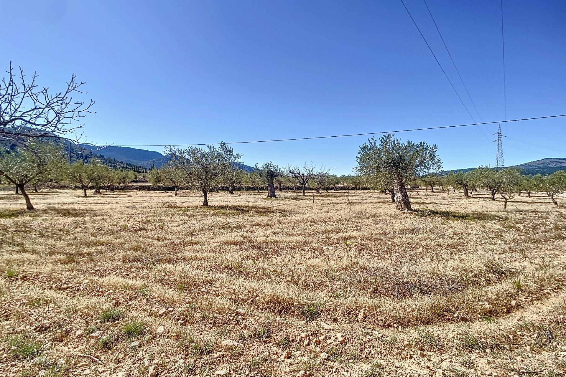 Resale - Plot / Land - Castalla - Comunidad valenciana