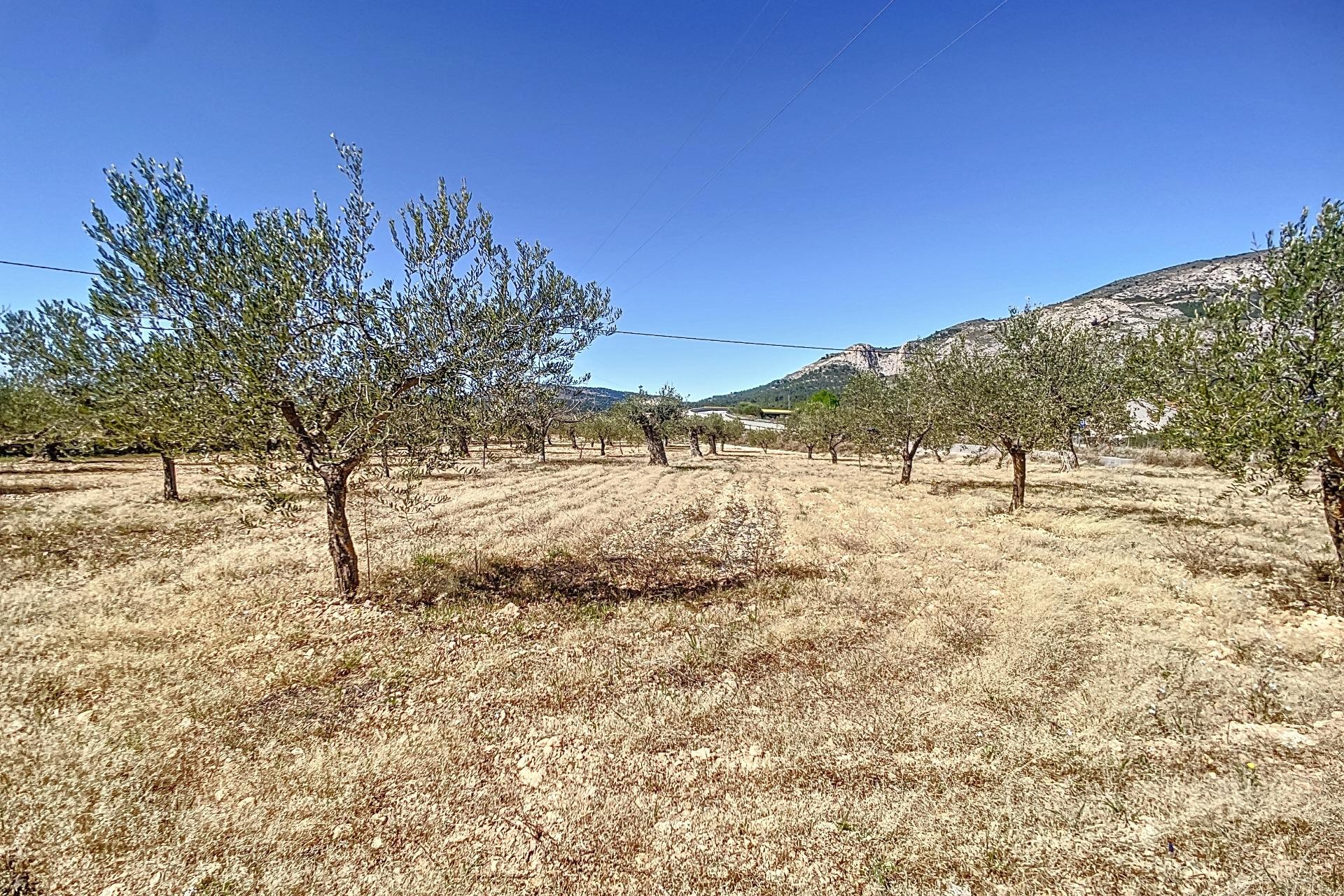 Resale - Plot / Land - Castalla - Comunidad valenciana