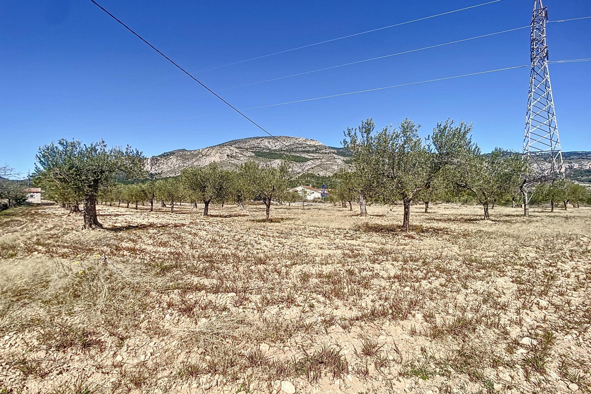 Resale - Plot / Land - Castalla - Comunidad valenciana